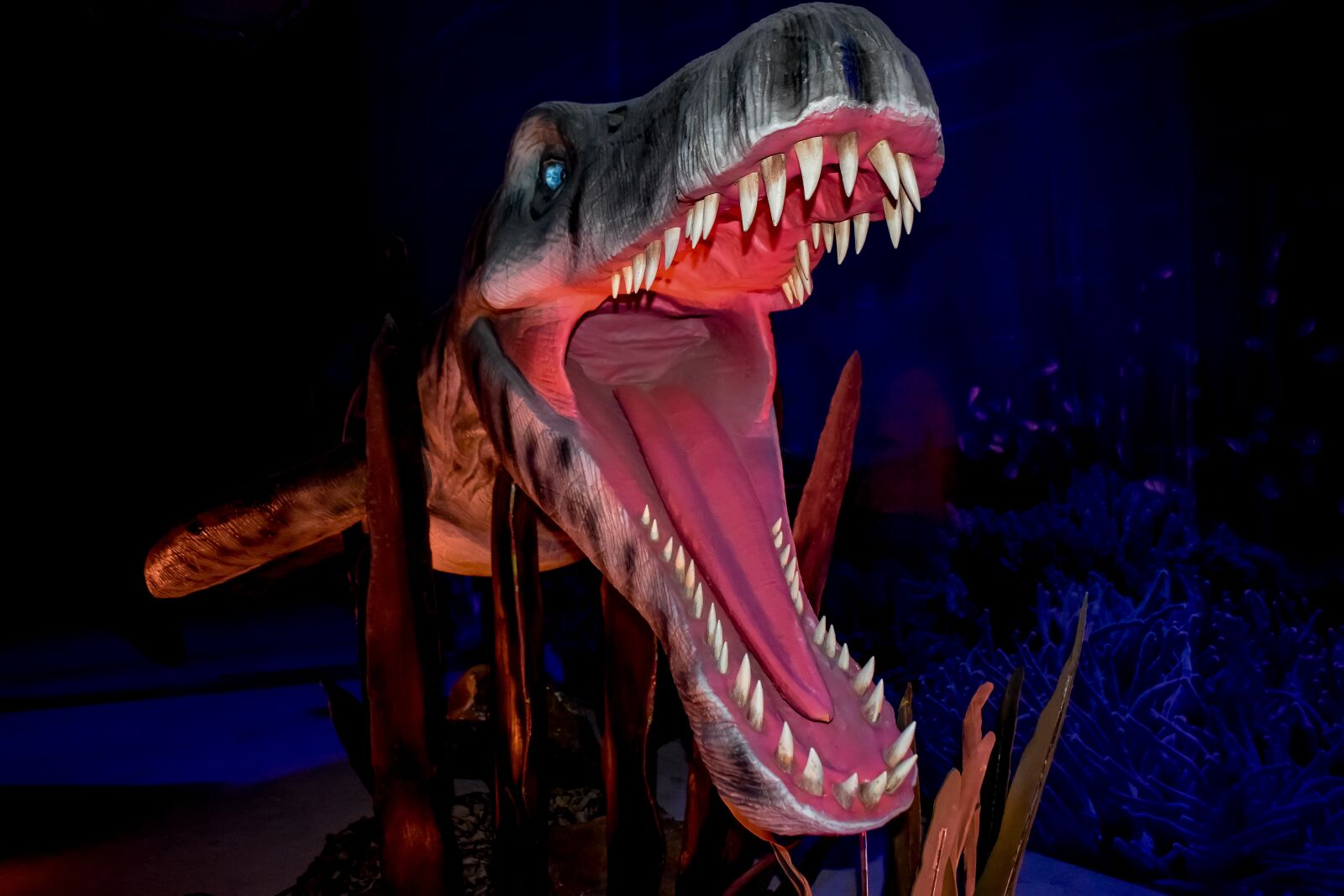 Nikon D3300 sample photo. Dinosaur, mouth, teeth photography