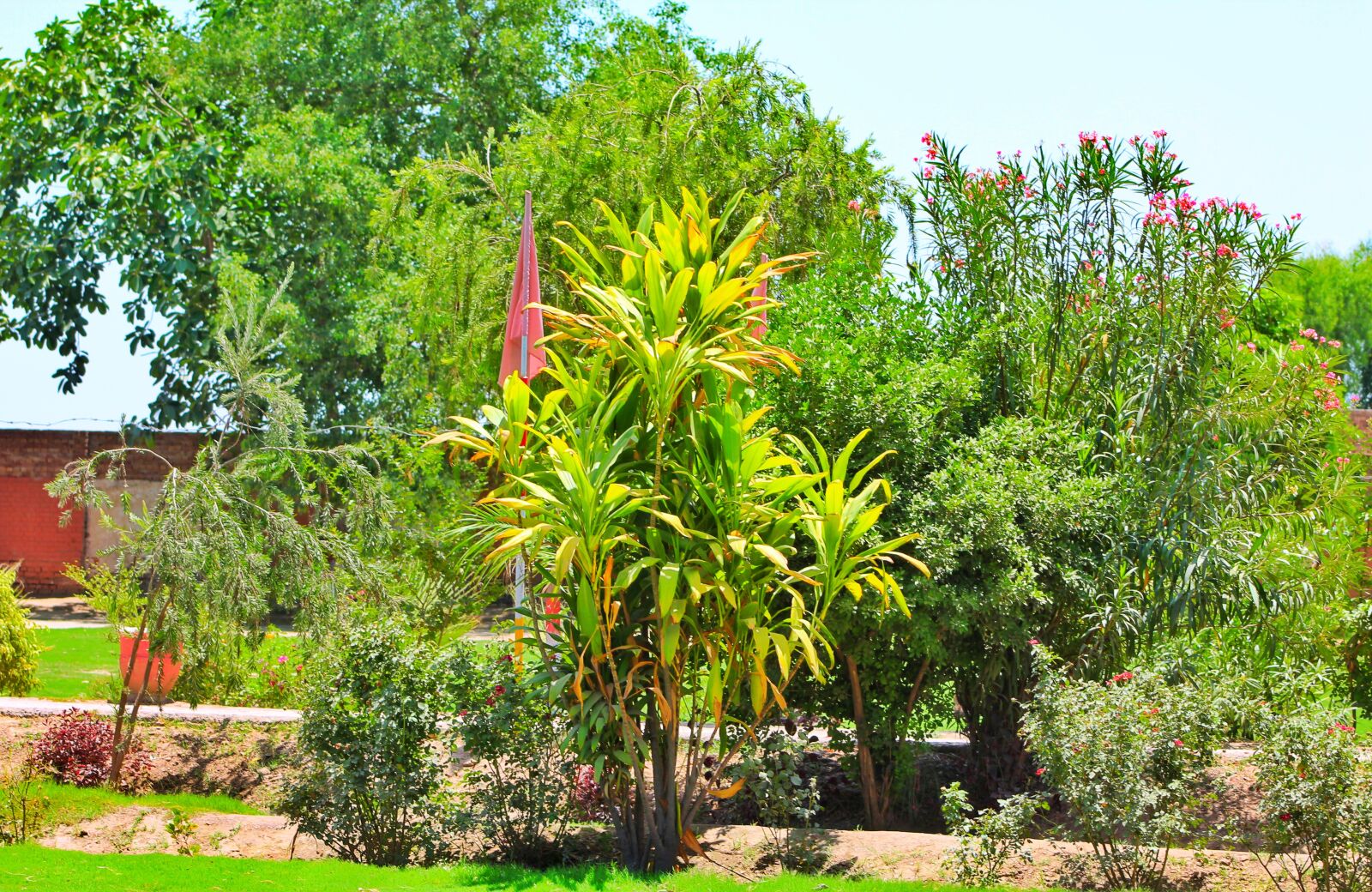 Canon EOS 1200D (EOS Rebel T5 / EOS Kiss X70 / EOS Hi) sample photo. Beautiful, greenery, picture photography