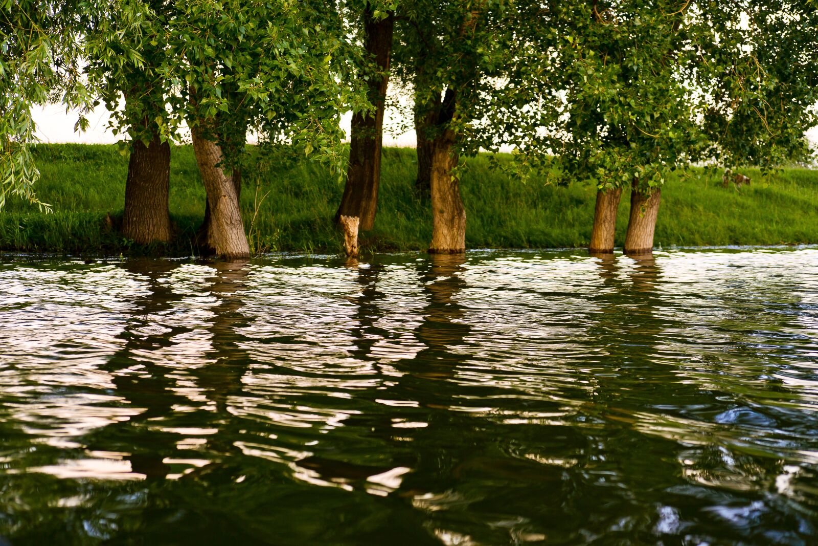 Sony Alpha DSLR-A850 sample photo. River, sunset, flood photography