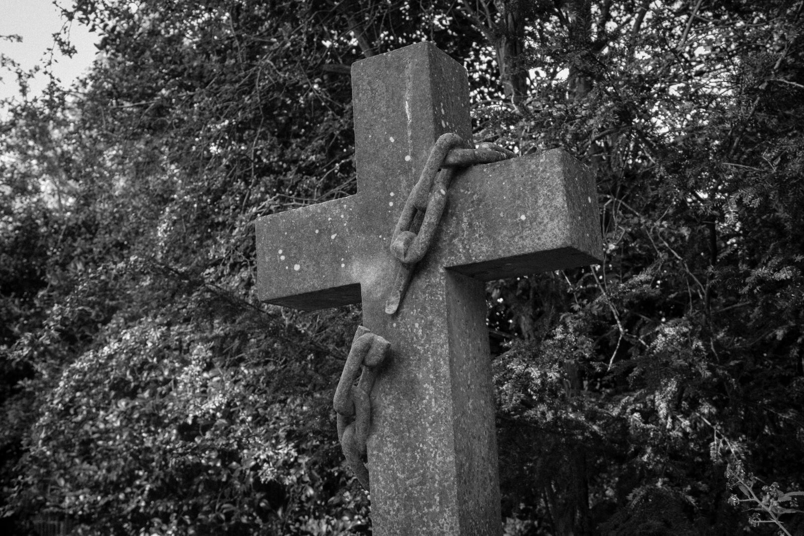 Canon EOS 1300D (EOS Rebel T6 / EOS Kiss X80) sample photo. Graves, graveyard, cemetery photography