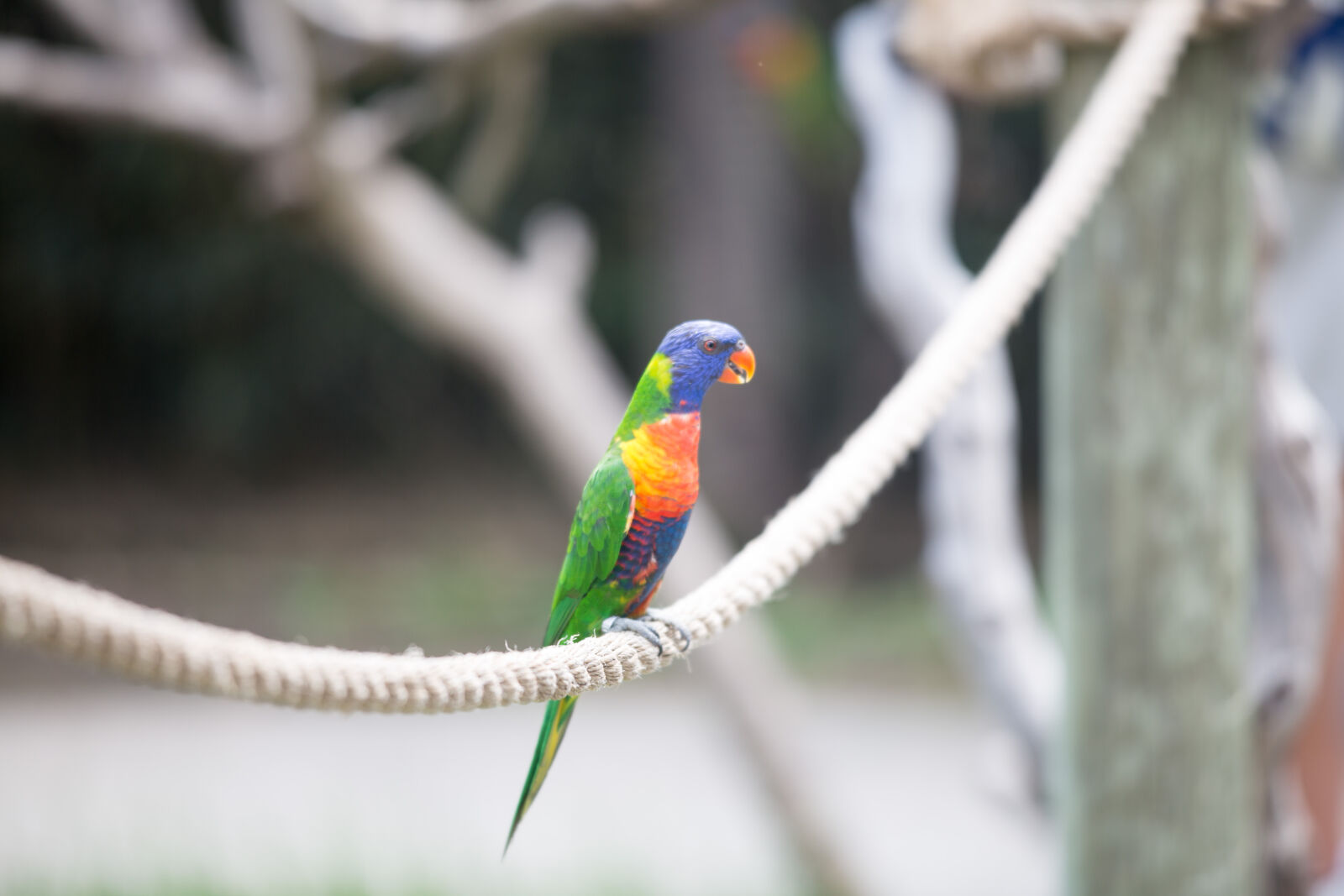 Canon EOS 6D sample photo