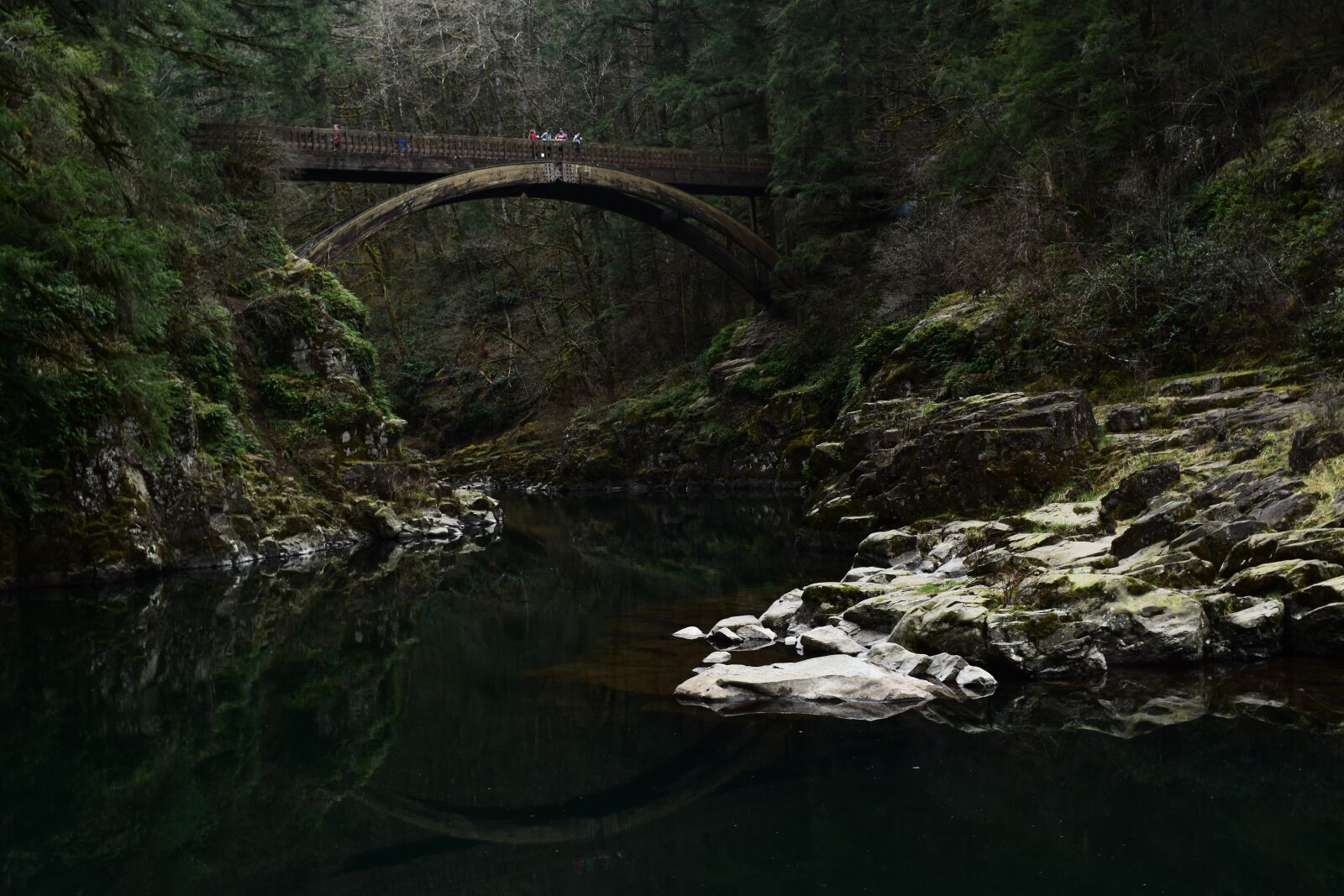 Nikon D3500 sample photo. Bridge, nature, forest photography