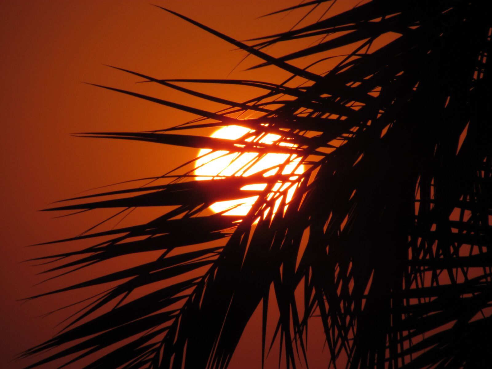 Canon PowerShot SX30 IS sample photo. Solar, in the evening photography