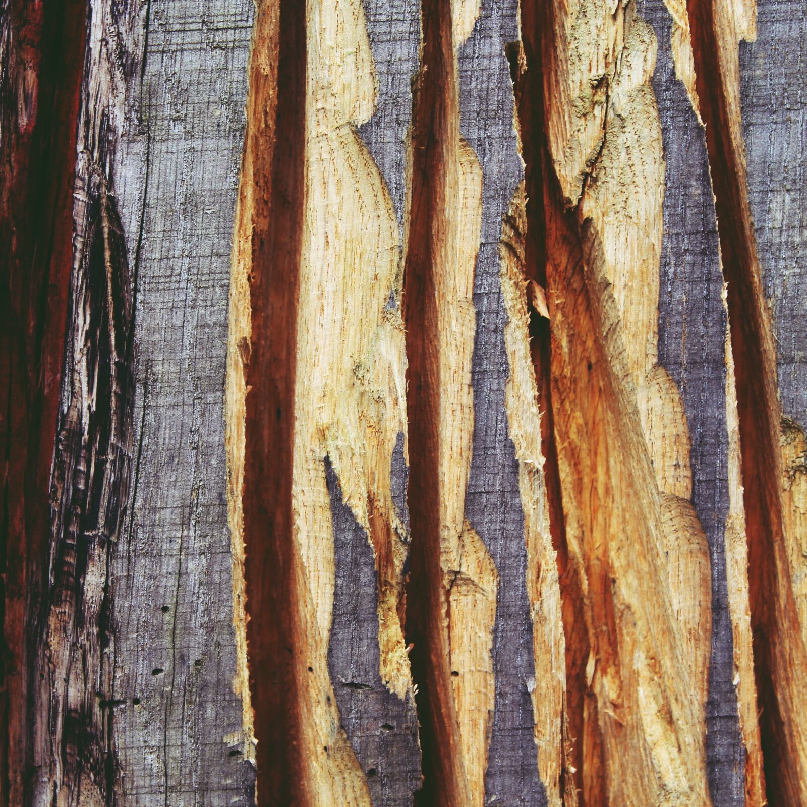 Canon EOS 1200D (EOS Rebel T5 / EOS Kiss X70 / EOS Hi) sample photo. Background, wood, wooden structure photography