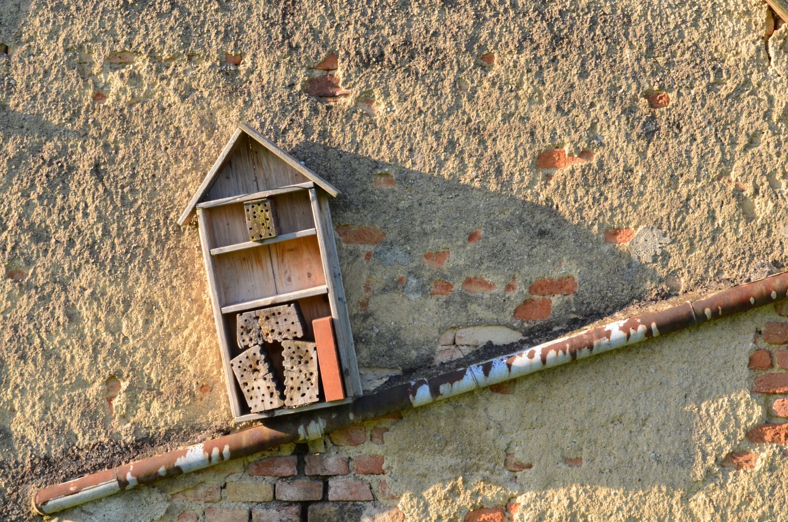 Nikon D5100 sample photo. Hotel, insect, building photography
