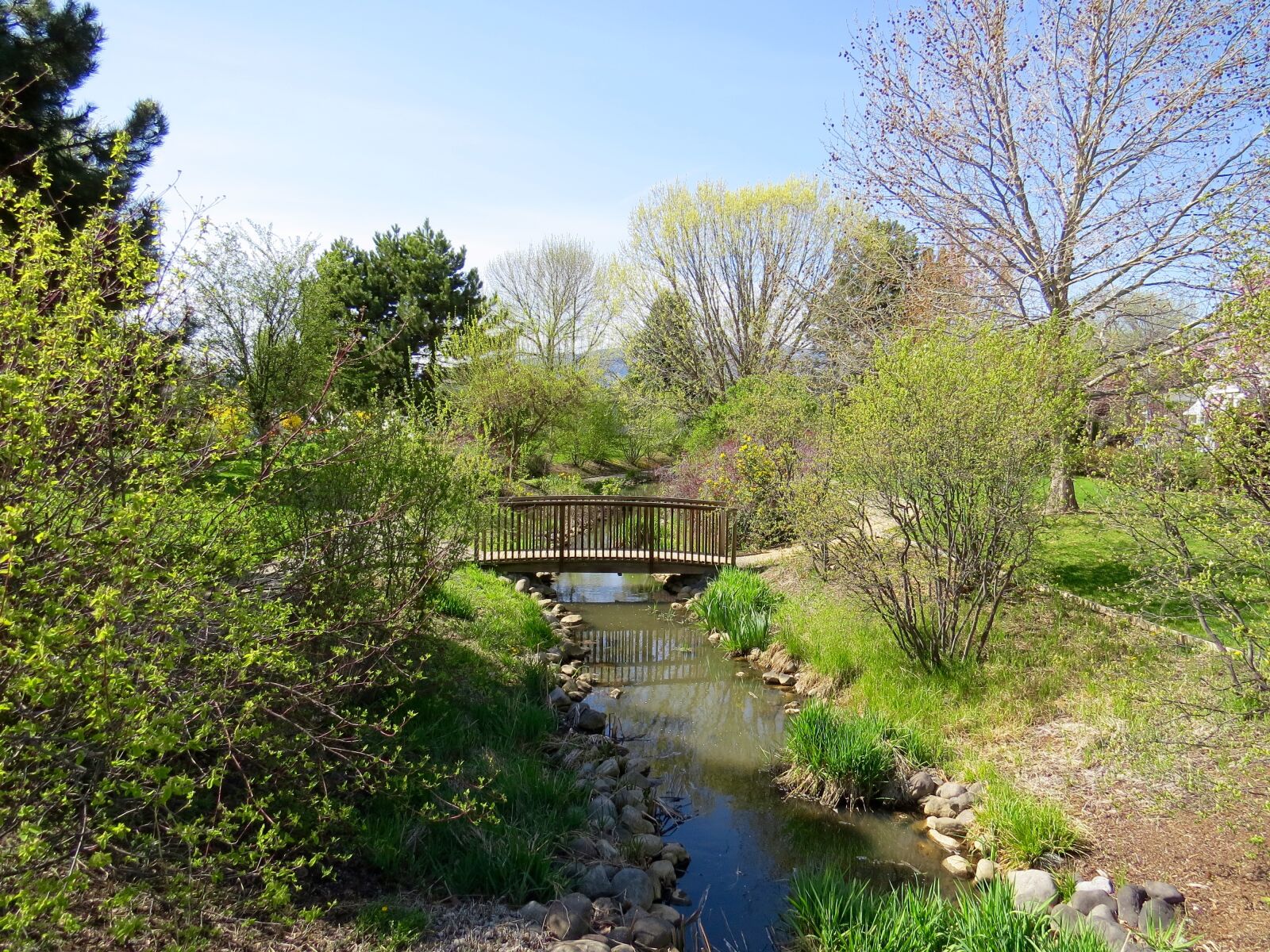 Canon PowerShot SX50 HS sample photo. Bridge, landscape, outdoors, park photography
