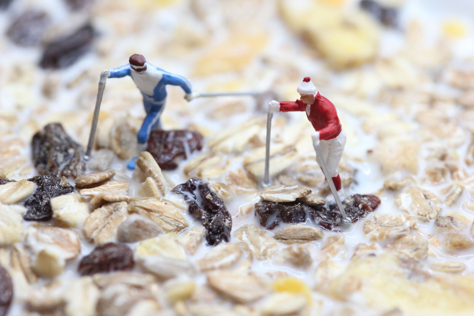 Canon EOS 550D (EOS Rebel T2i / EOS Kiss X4) sample photo. Muesli, nordic walking, miniature photography