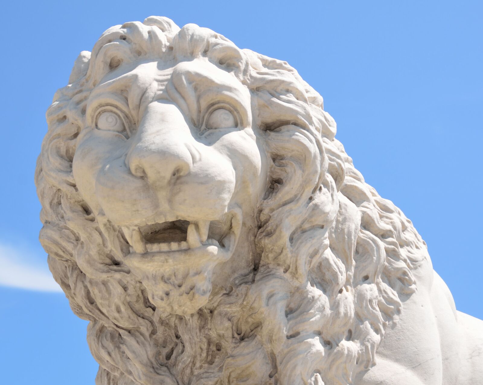 Nikon D7000 sample photo. Bridge of lions, lion photography