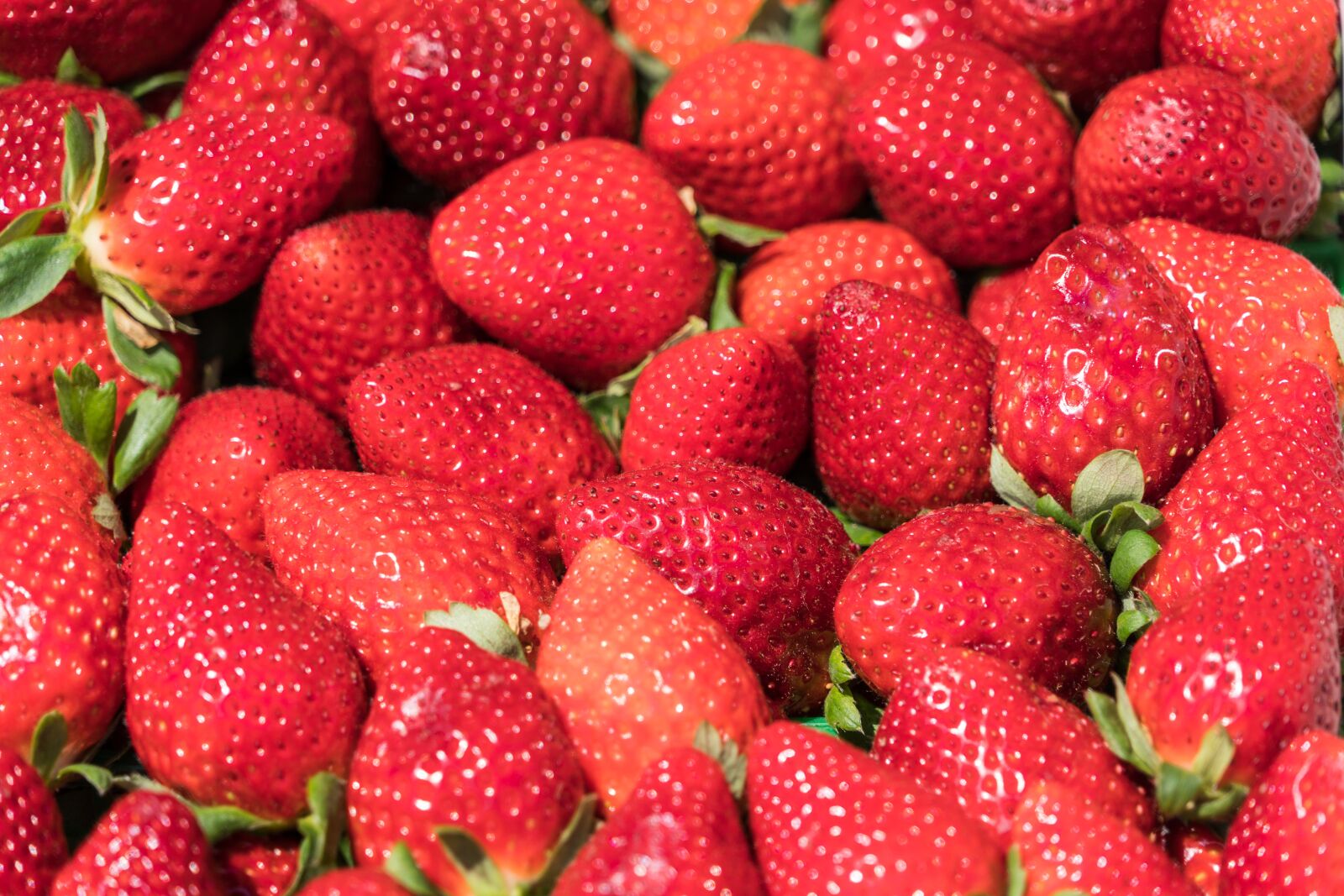 Sony a7R II sample photo. Strawberries, fruit, food photography