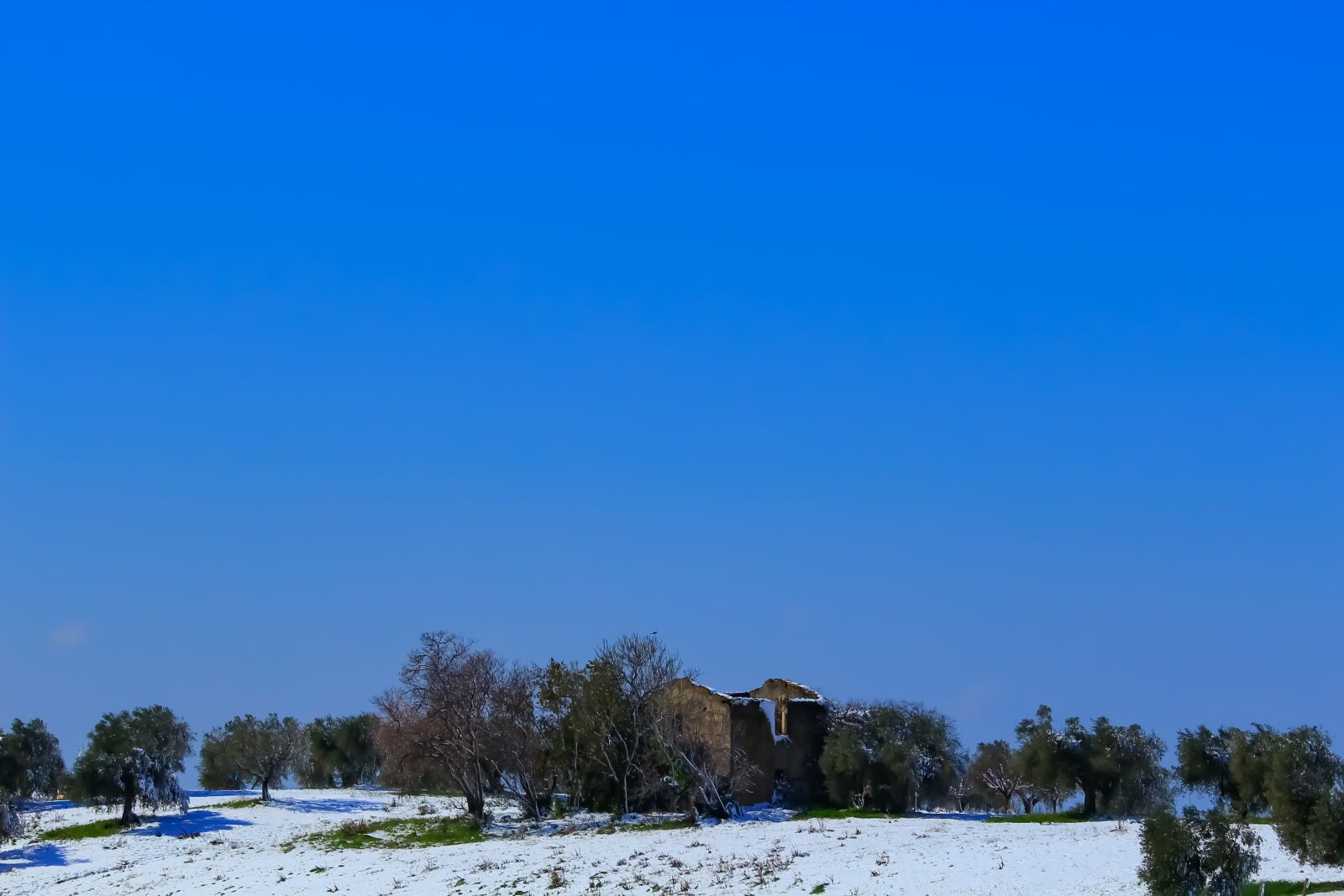 Canon EOS 1200D (EOS Rebel T5 / EOS Kiss X70 / EOS Hi) sample photo. Landscape, winter, snow photography