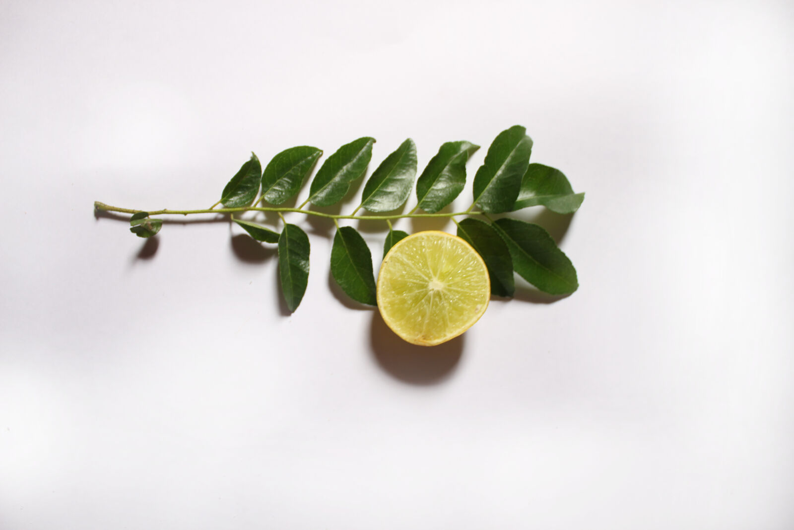 Canon EOS 700D (EOS Rebel T5i / EOS Kiss X7i) sample photo. Curry, leaves, cut, lemon photography