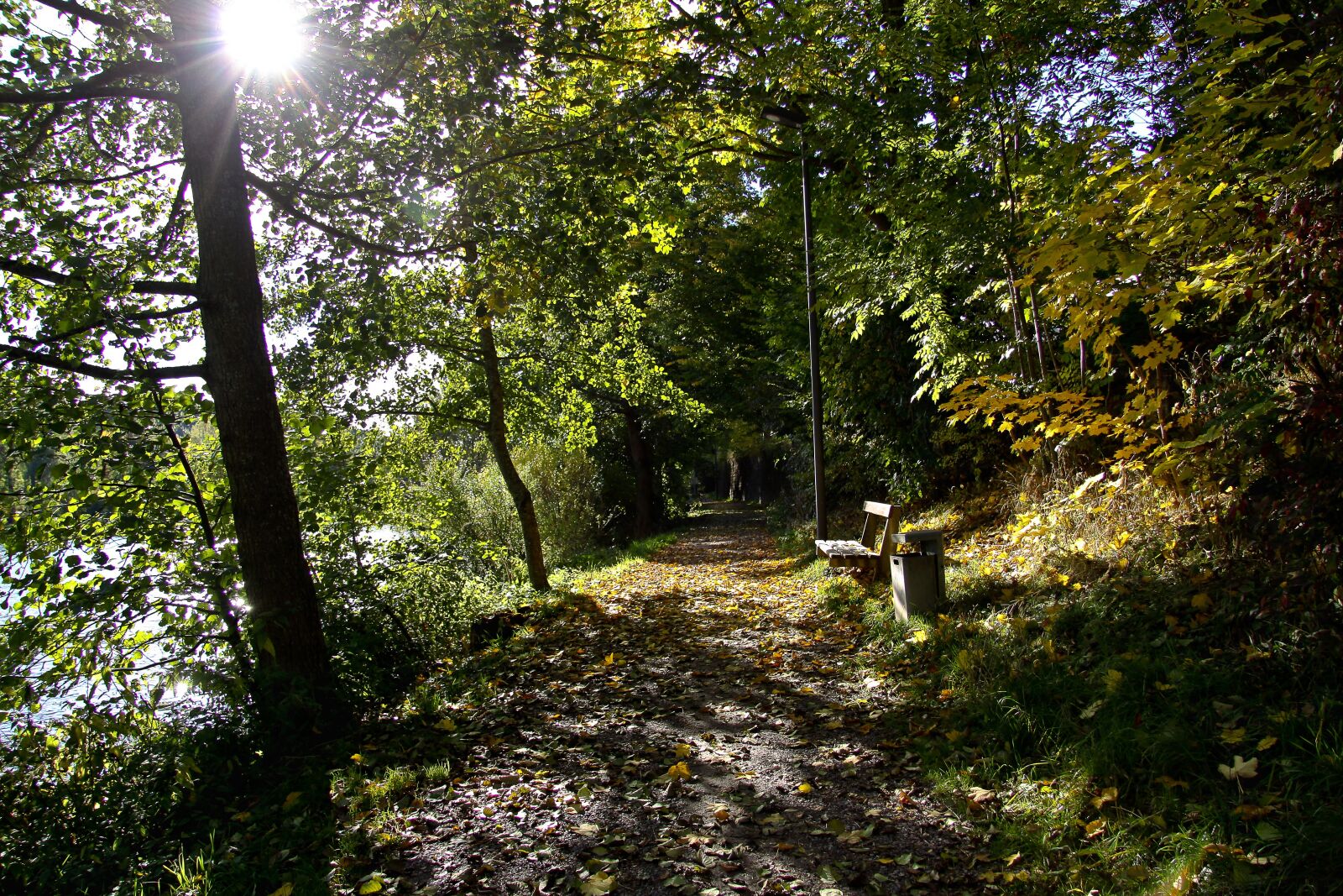 Canon EOS 50D sample photo. Autumn, bank, sun photography