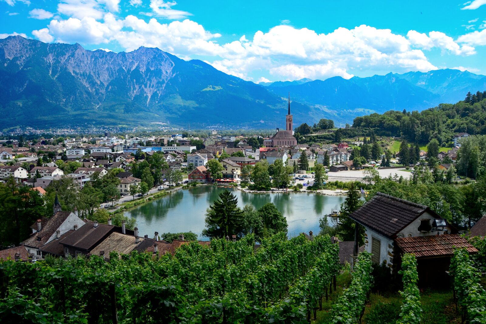 Nikon D3100 sample photo. Vineyard, mountain lake will photography