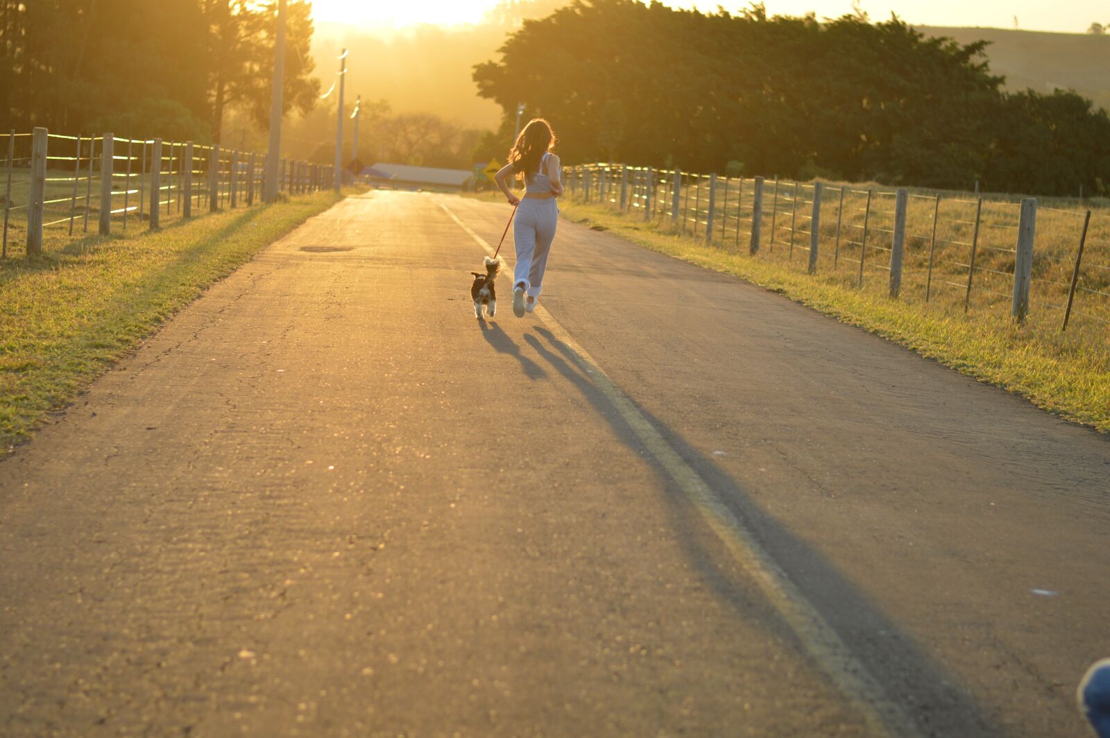 Nikon D3200 sample photo. Sunset, landscape, sun photography