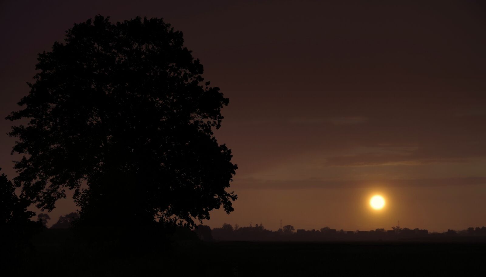 Pentax K-S2 sample photo. Tree, sunset, cloudy photography