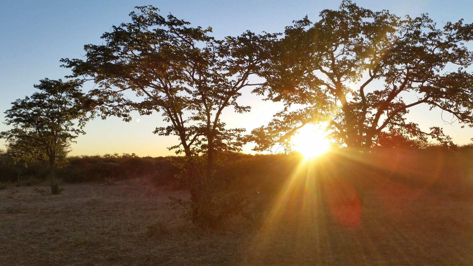 Samsung Galaxy S5 sample photo. Sunset, trees, wilderness photography