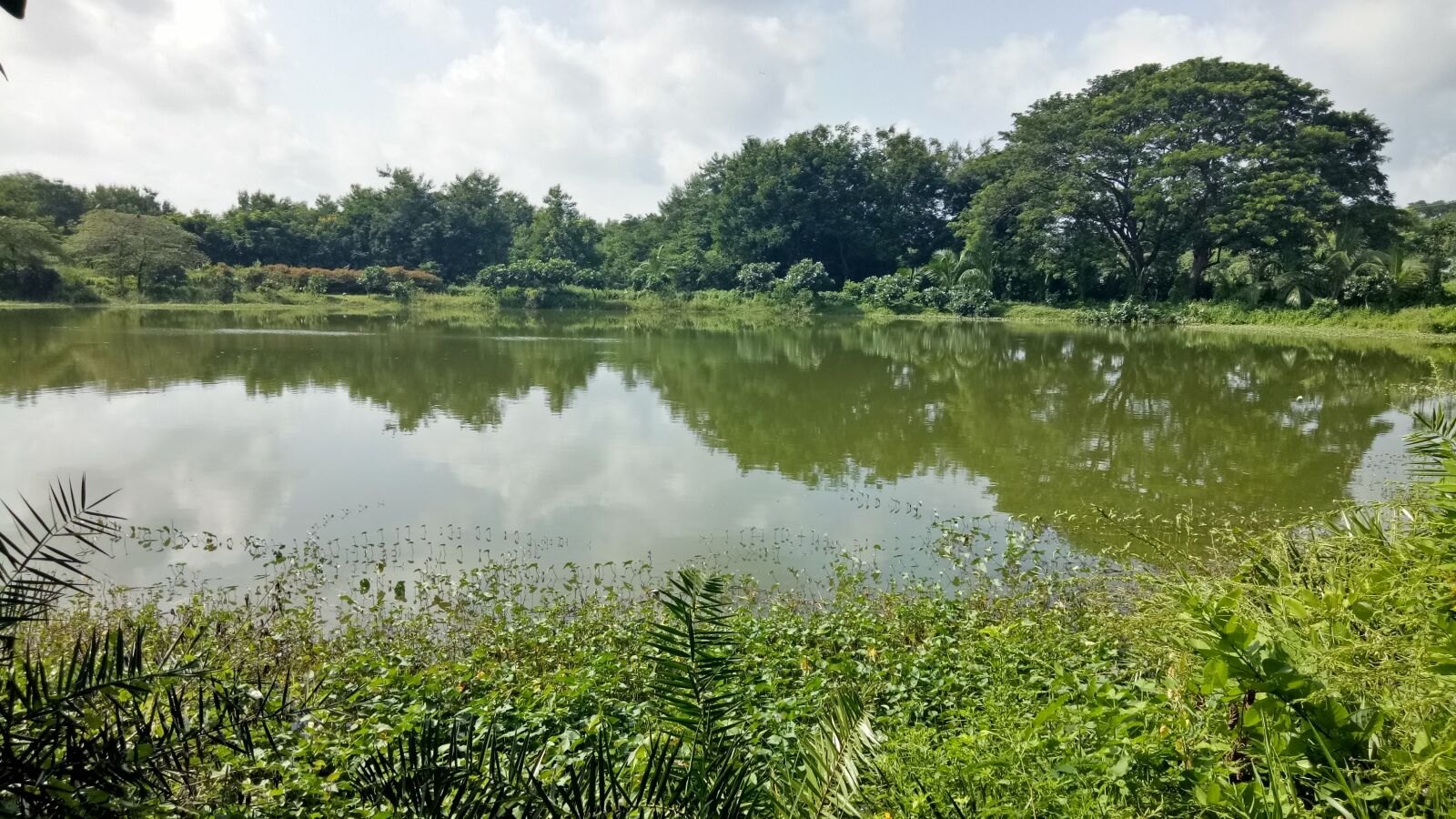 OPPO A1601 sample photo. Water, landscape, nature photography