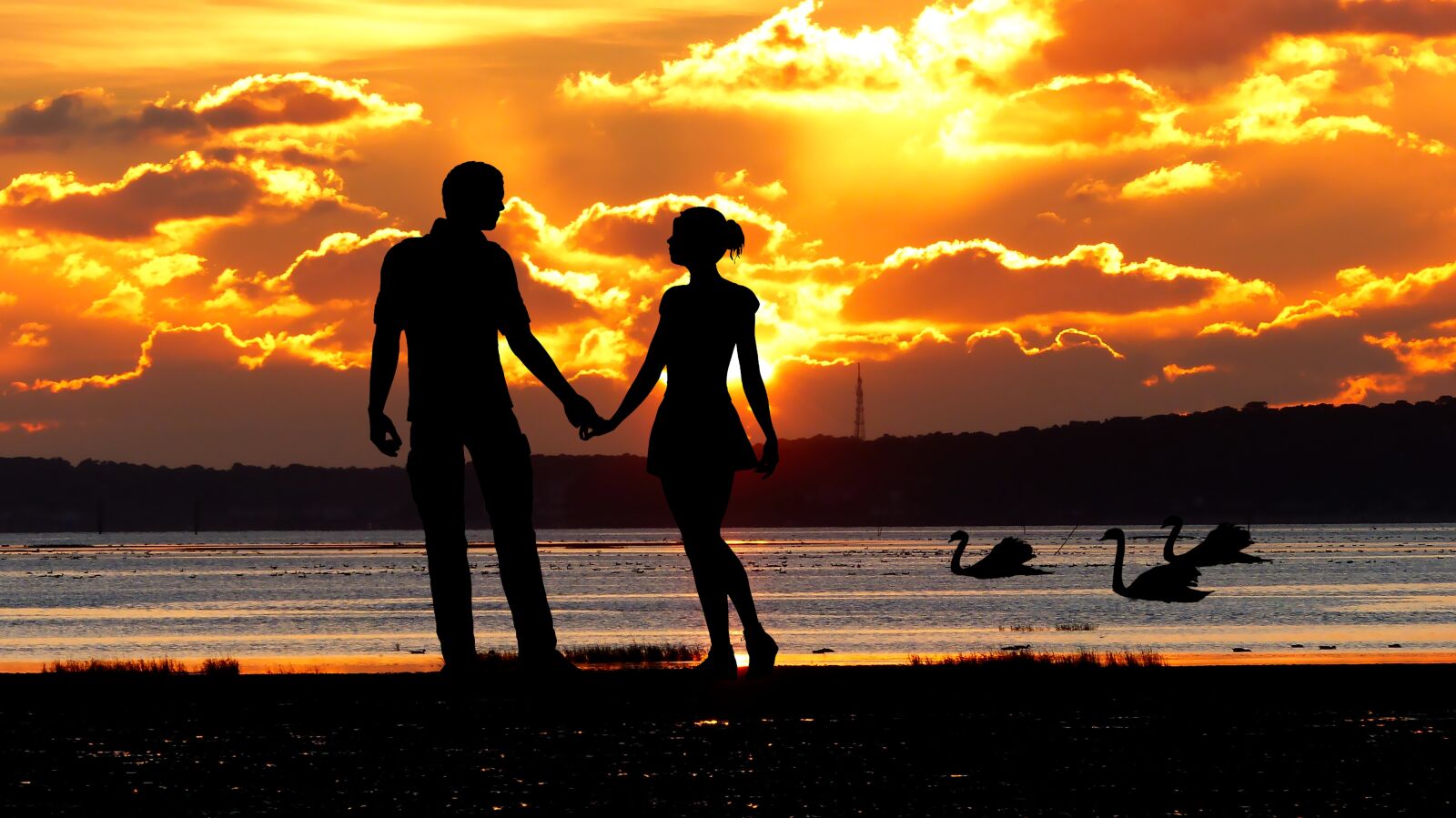 Panasonic Lumix DMC-FZ200 sample photo. Sunset, ocean, maree basse photography
