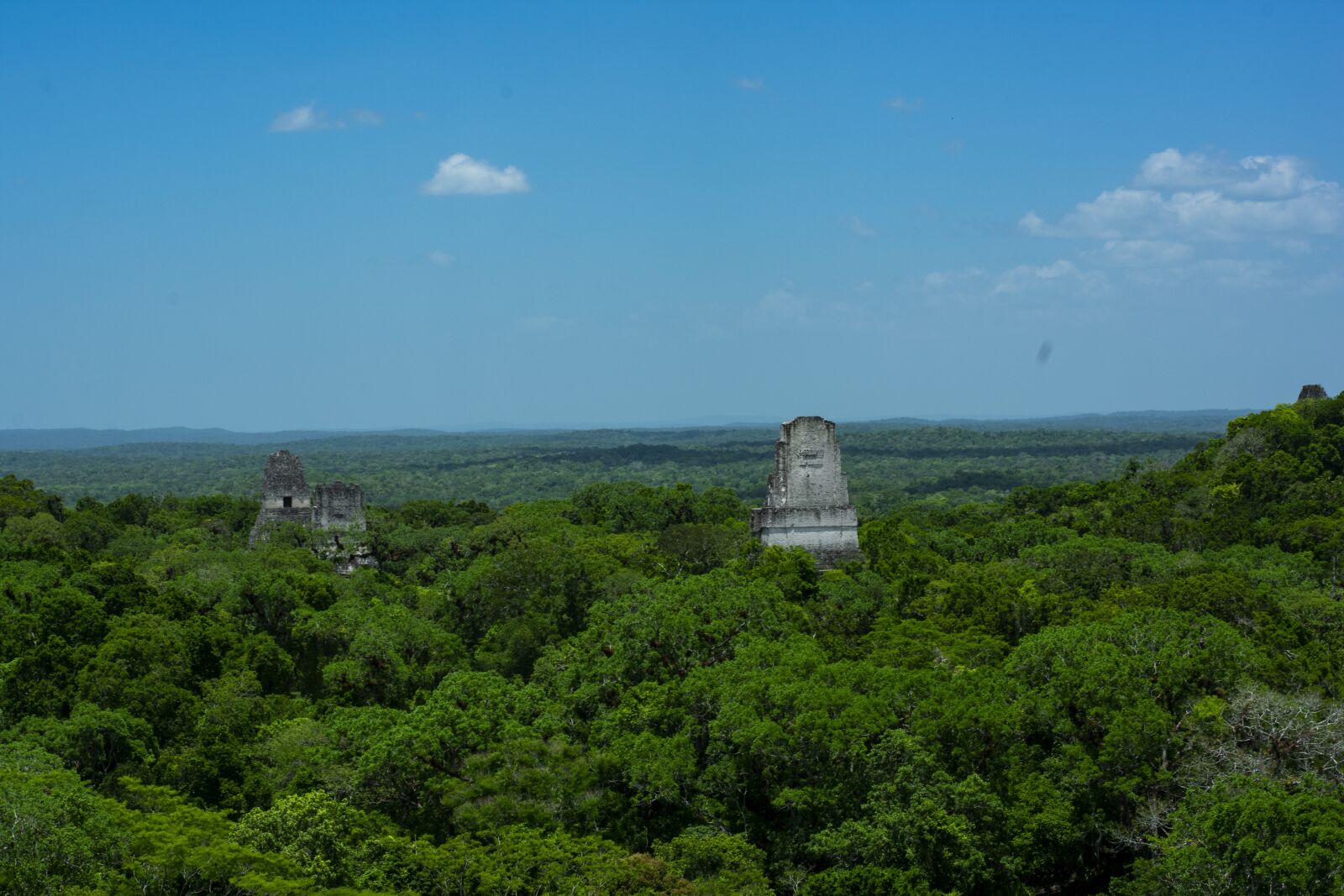 Nikon D3400 sample photo. Tikal, maya, temple remains photography