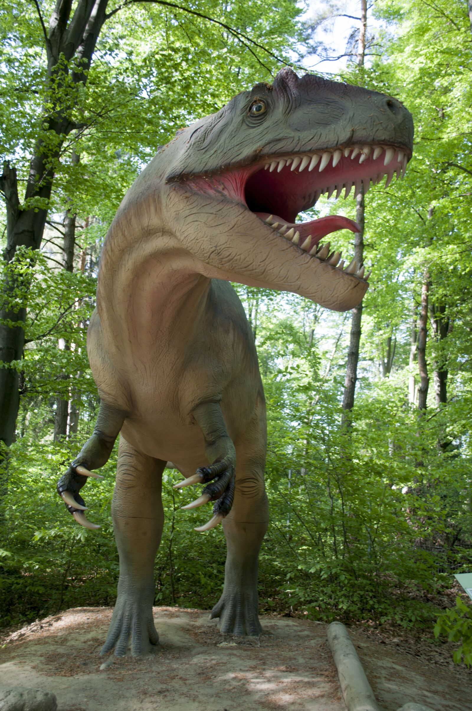 Nikon D90 sample photo. Nature, wood, dinosaur photography