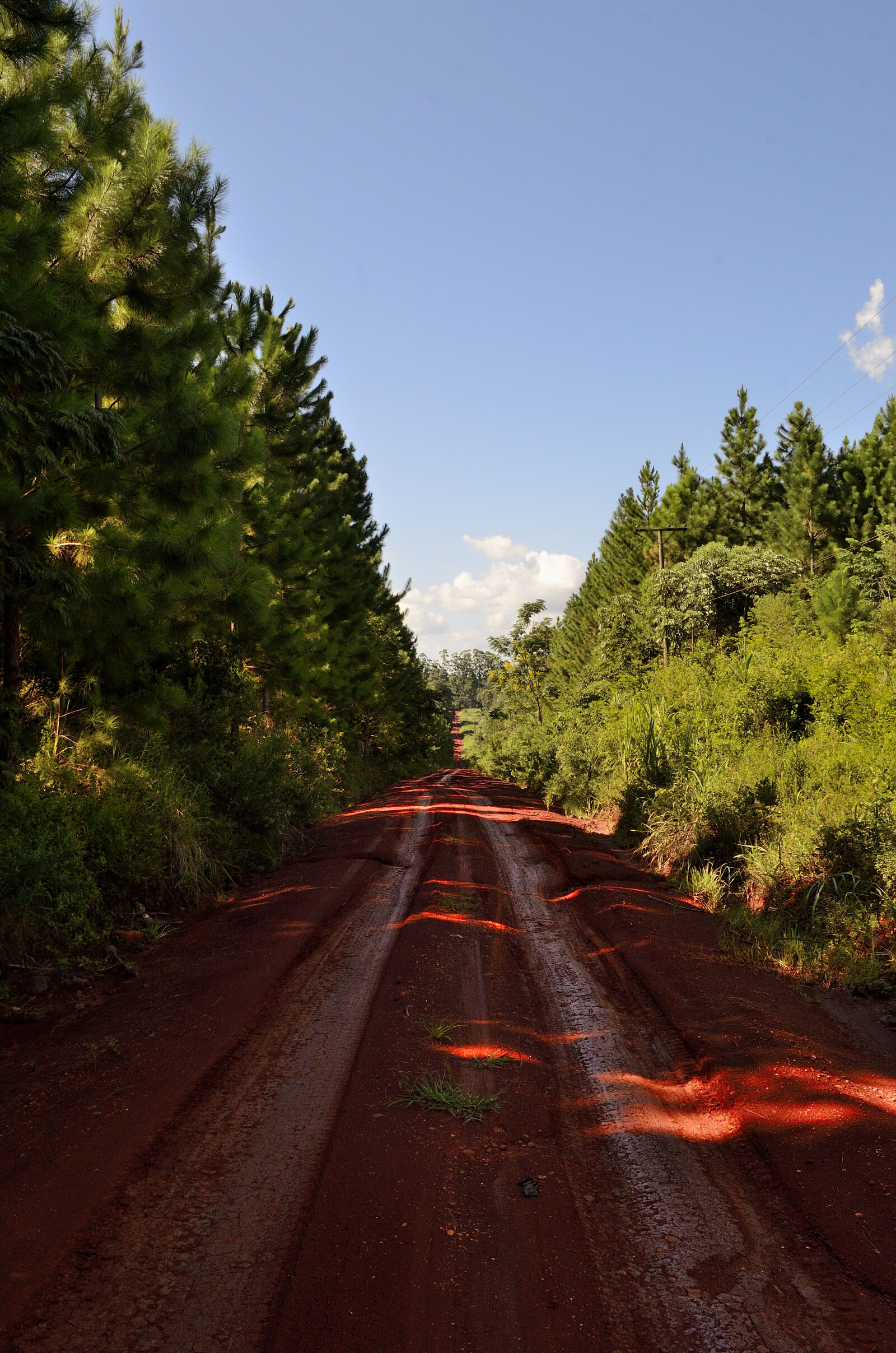 Nikon D5100 sample photo