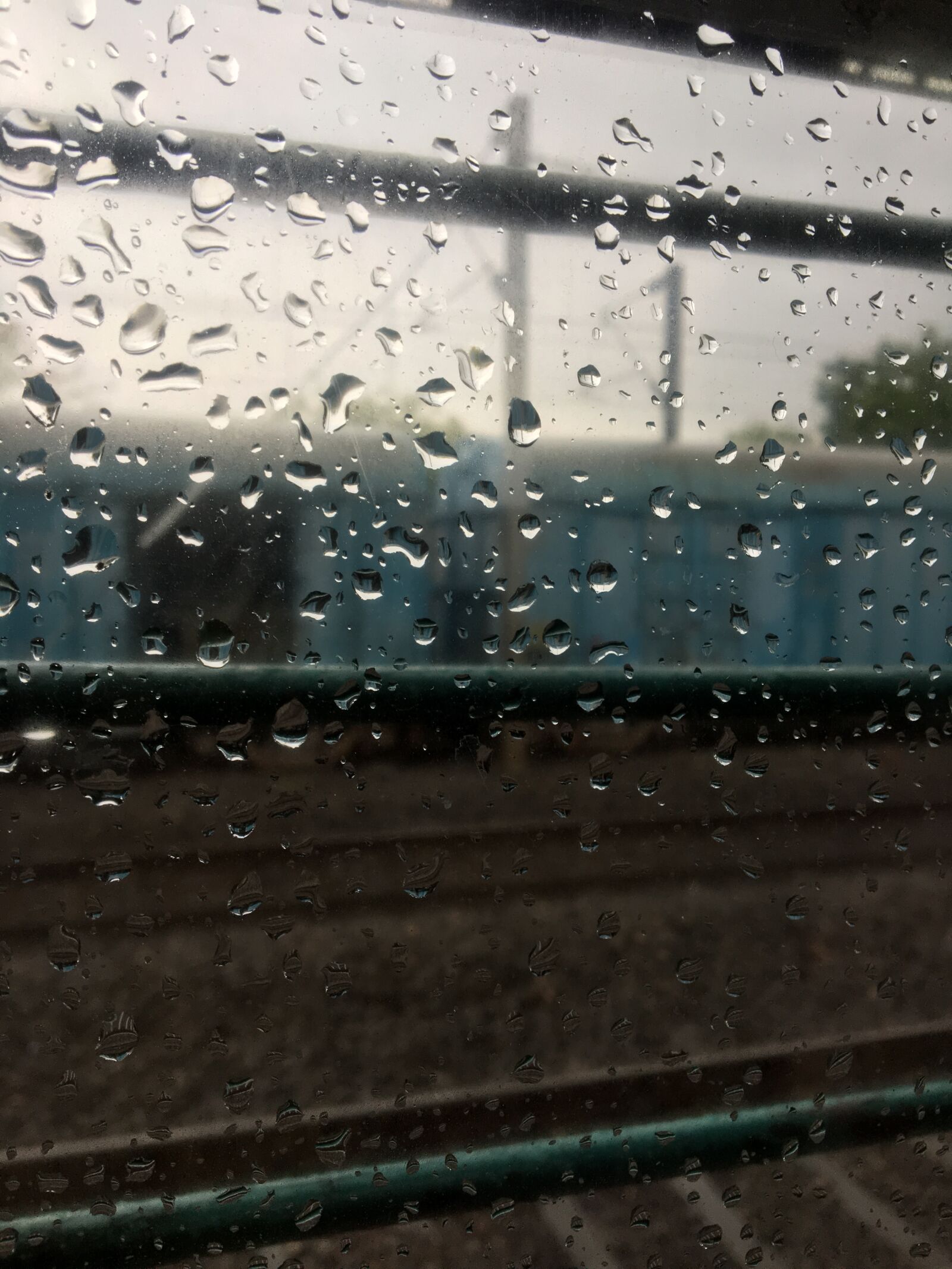Apple iPhone 6s sample photo. Rain, weather, drops photography