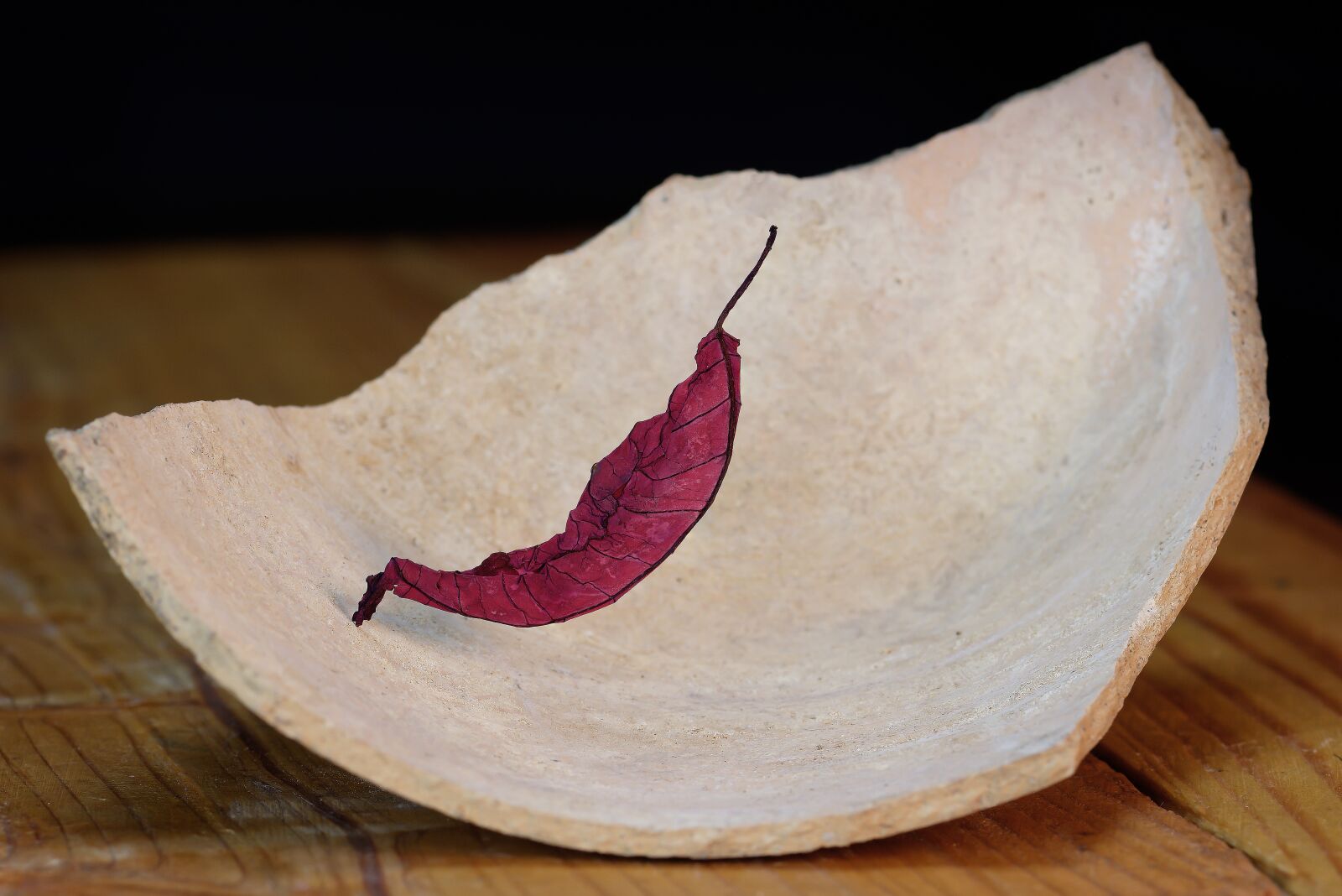 Nikon D7200 sample photo. Leaf, leaves, poinsettia photography