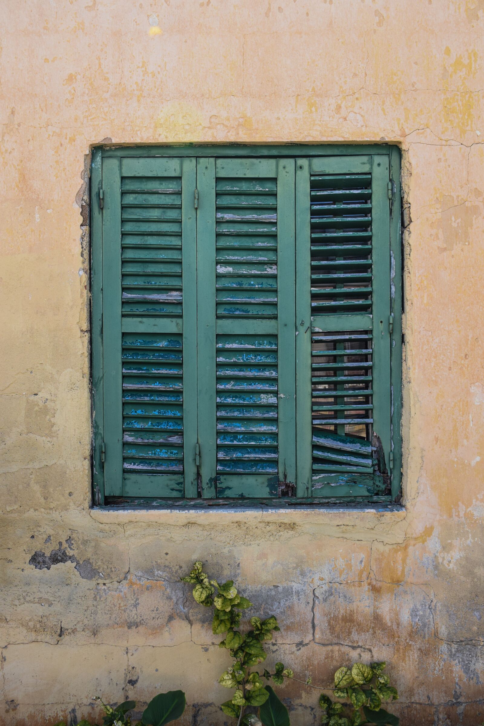 Nikon D3300 sample photo. Window, wooden, green photography