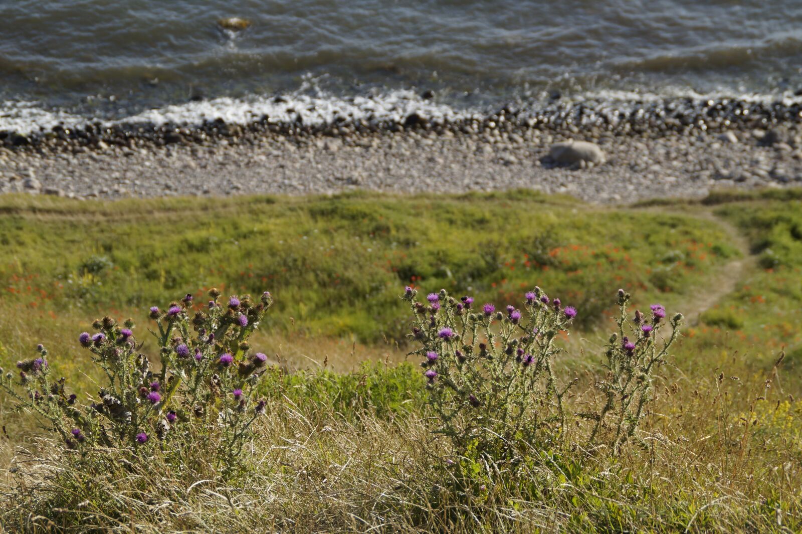 Sony SLT-A58 sample photo. Cliff, steep, coast photography