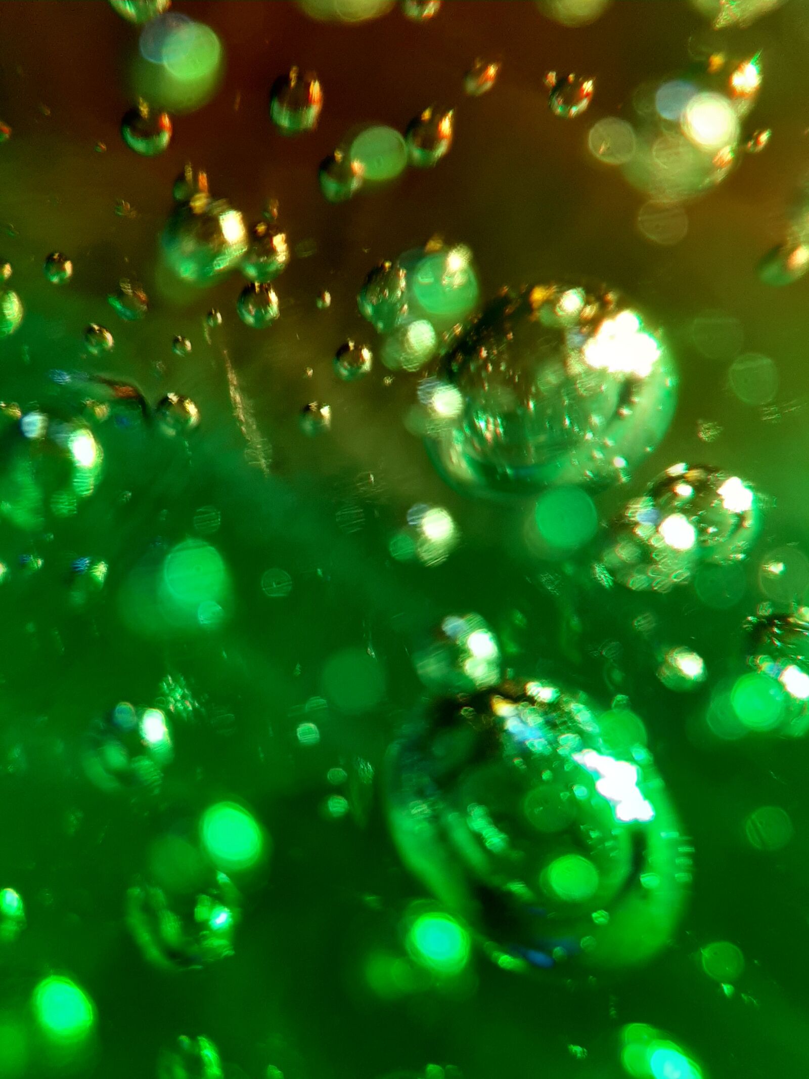 Samsung Galaxy A50 sample photo. Green, abstract, background photography