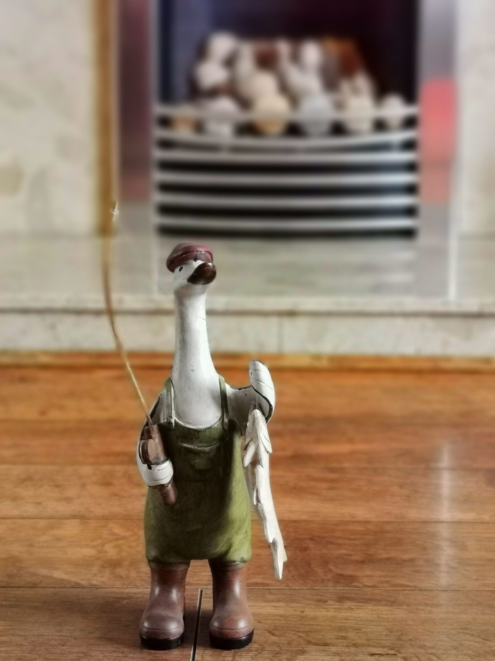 HUAWEI P30 Pro sample photo. Goose, fishing, home photography