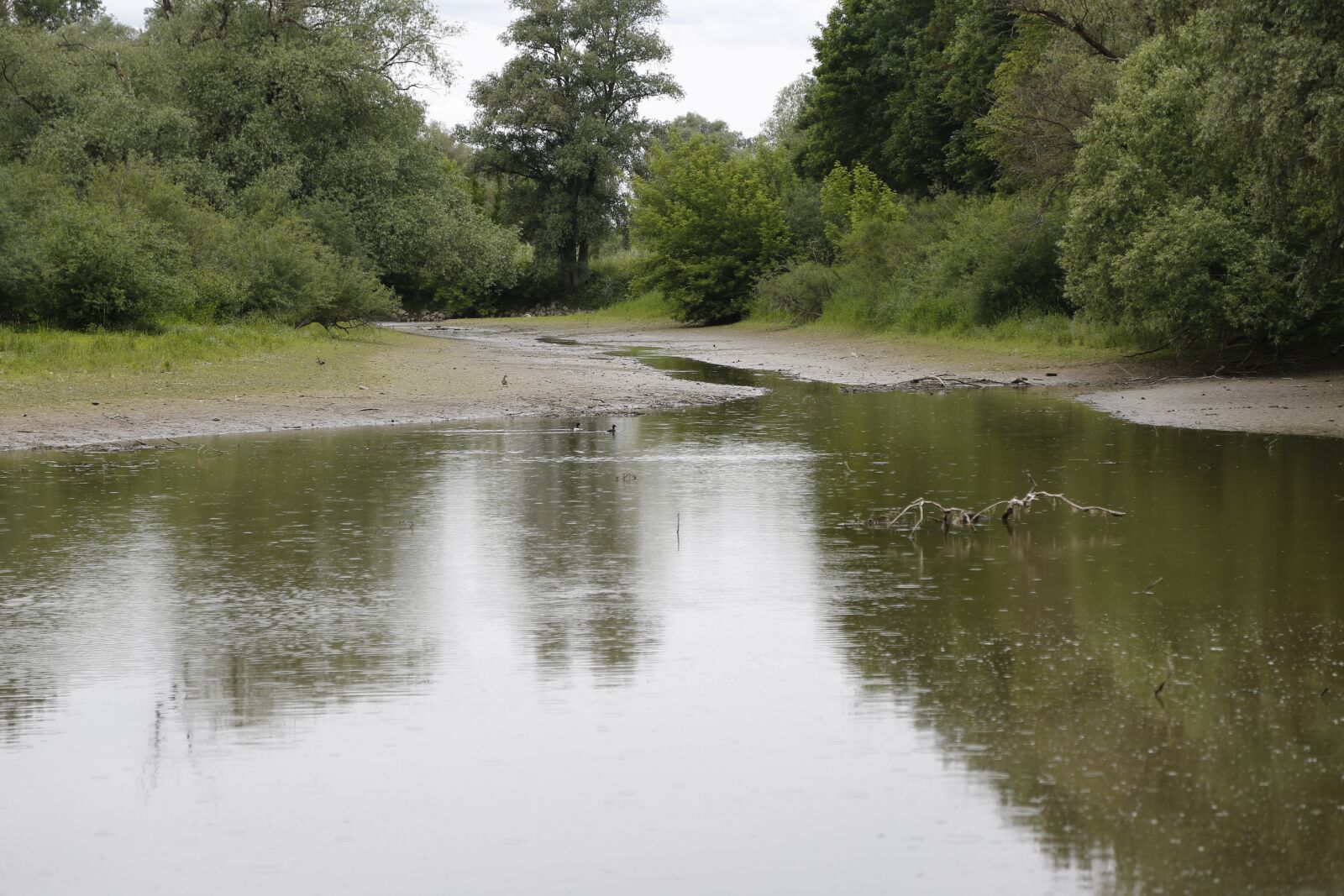 Canon EF 24-105mm F4L IS USM sample photo. Donauauen, land, water photography