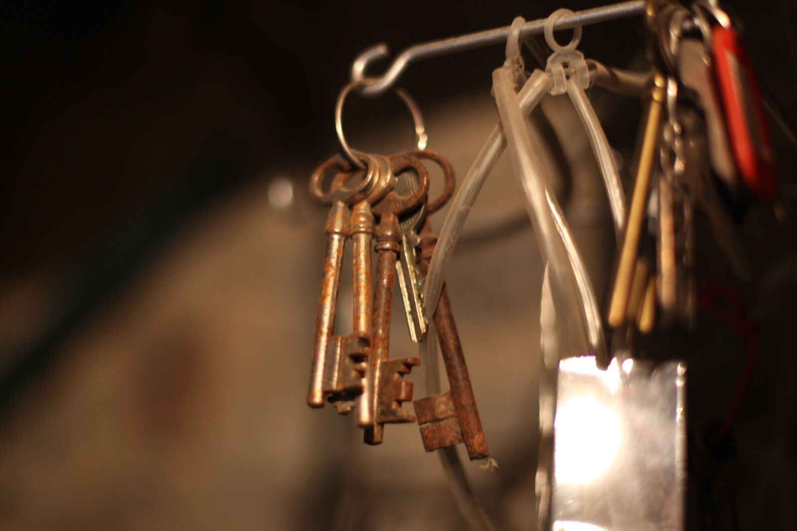 Canon EOS 5D Mark II sample photo. Key, old, metal photography