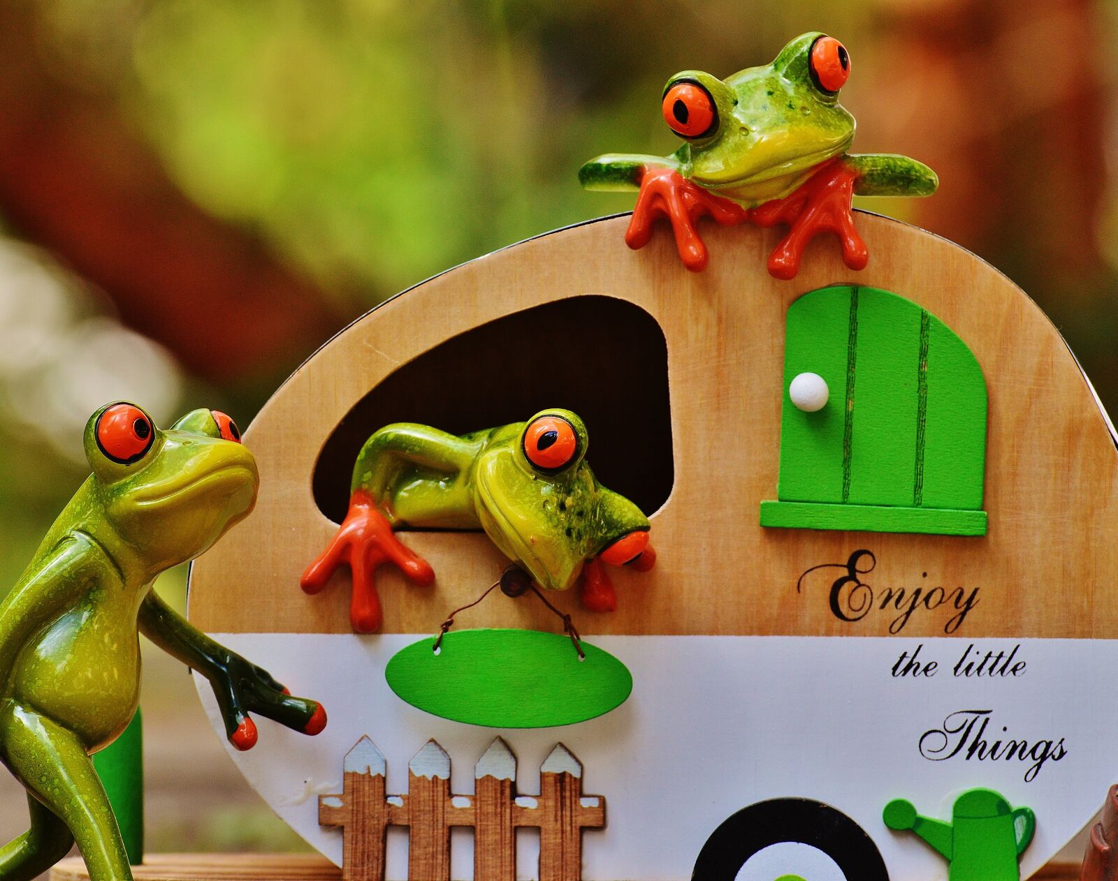 Nikon D3200 sample photo. Frogs, caravan, funny photography