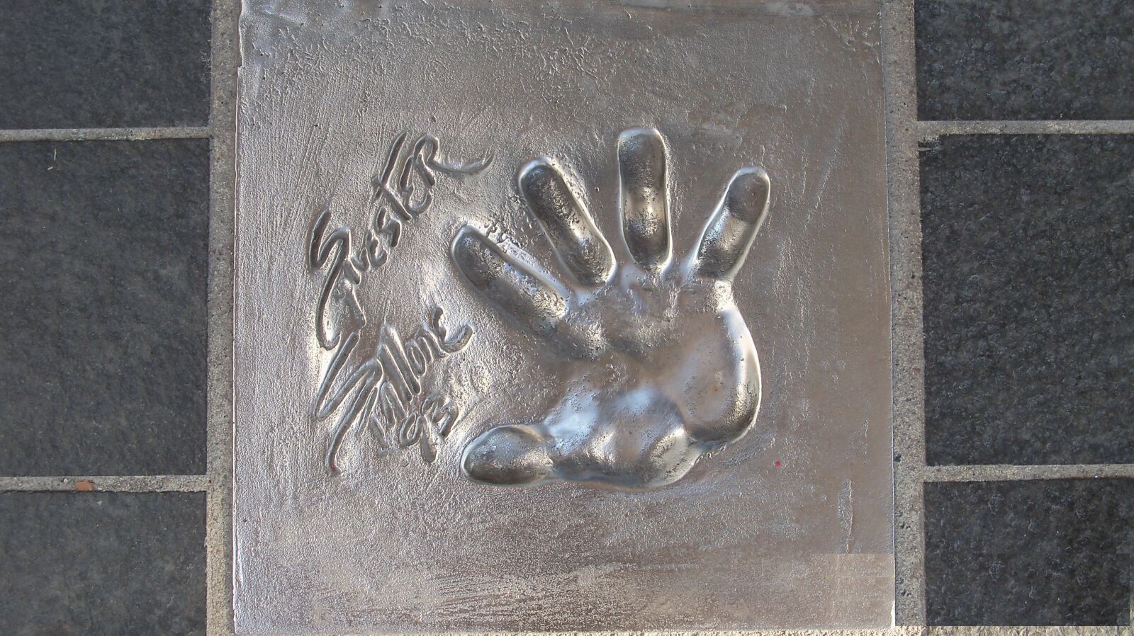 Kodak EasyShare Z915 sample photo. Cannes, stallion, footprint photography