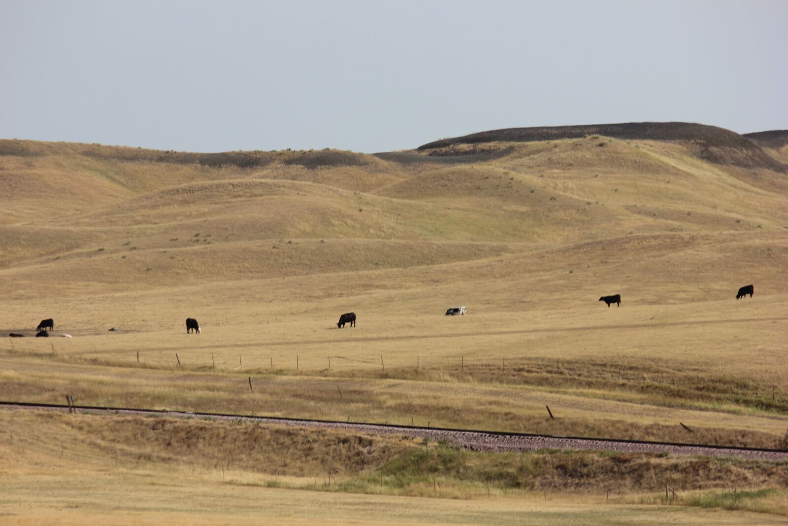 Canon EOS 600D (Rebel EOS T3i / EOS Kiss X5) sample photo. Prairie, field, landscape photography