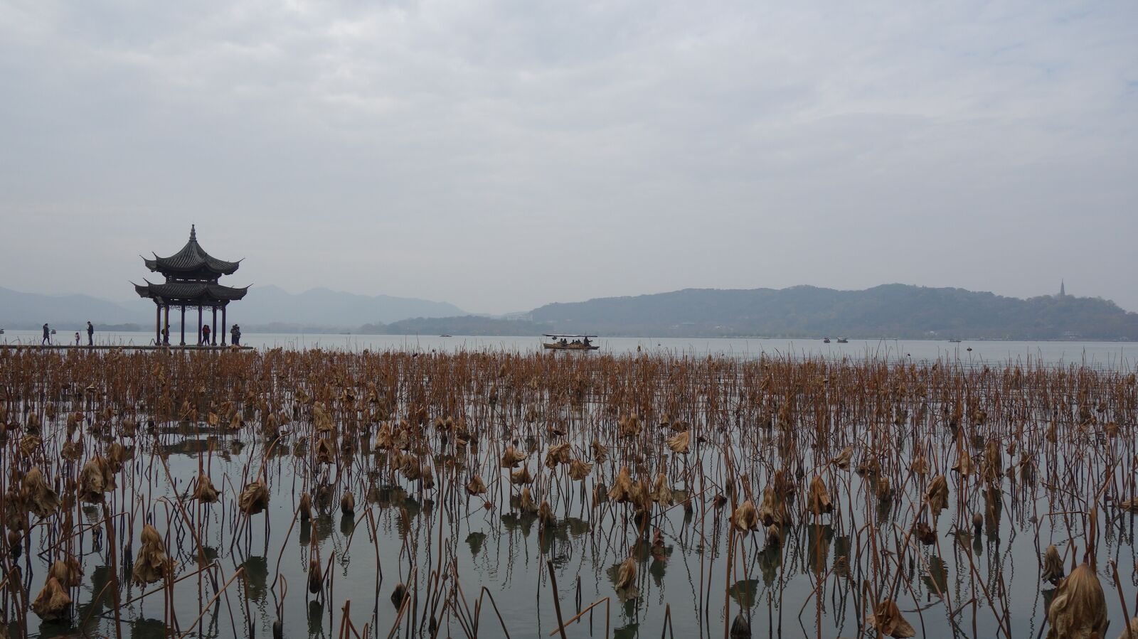 Sony Cyber-shot DSC-RX100 sample photo. West lake, lake, lotus photography