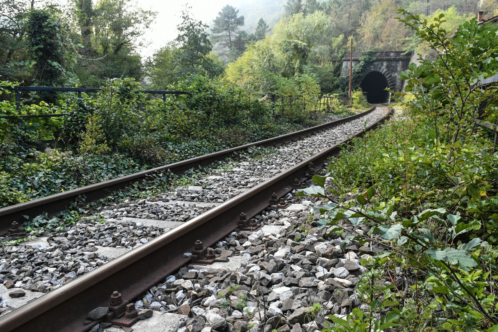 Nikon D500 sample photo. Railway line, railway, train photography