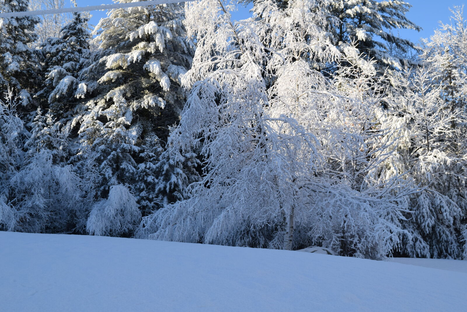 Nikon D3300 sample photo. New, hampshire, winter photography
