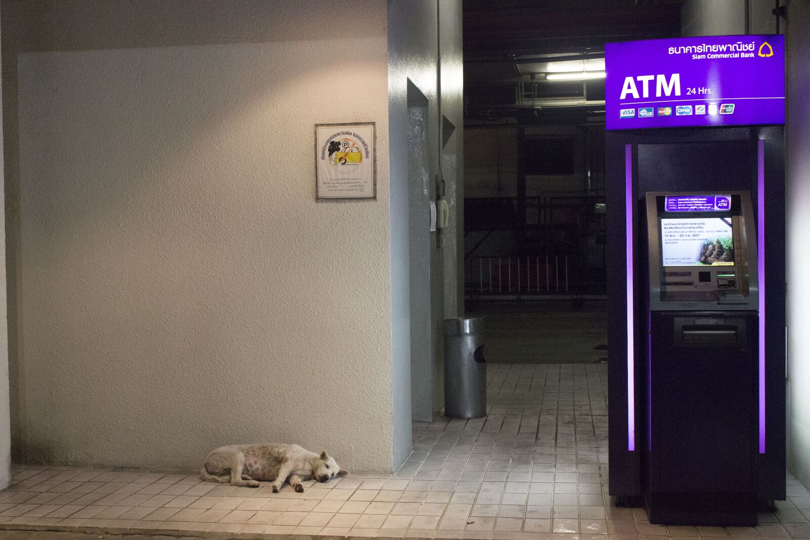 Canon EOS 600D (Rebel EOS T3i / EOS Kiss X5) sample photo. Purple, atm, night photography