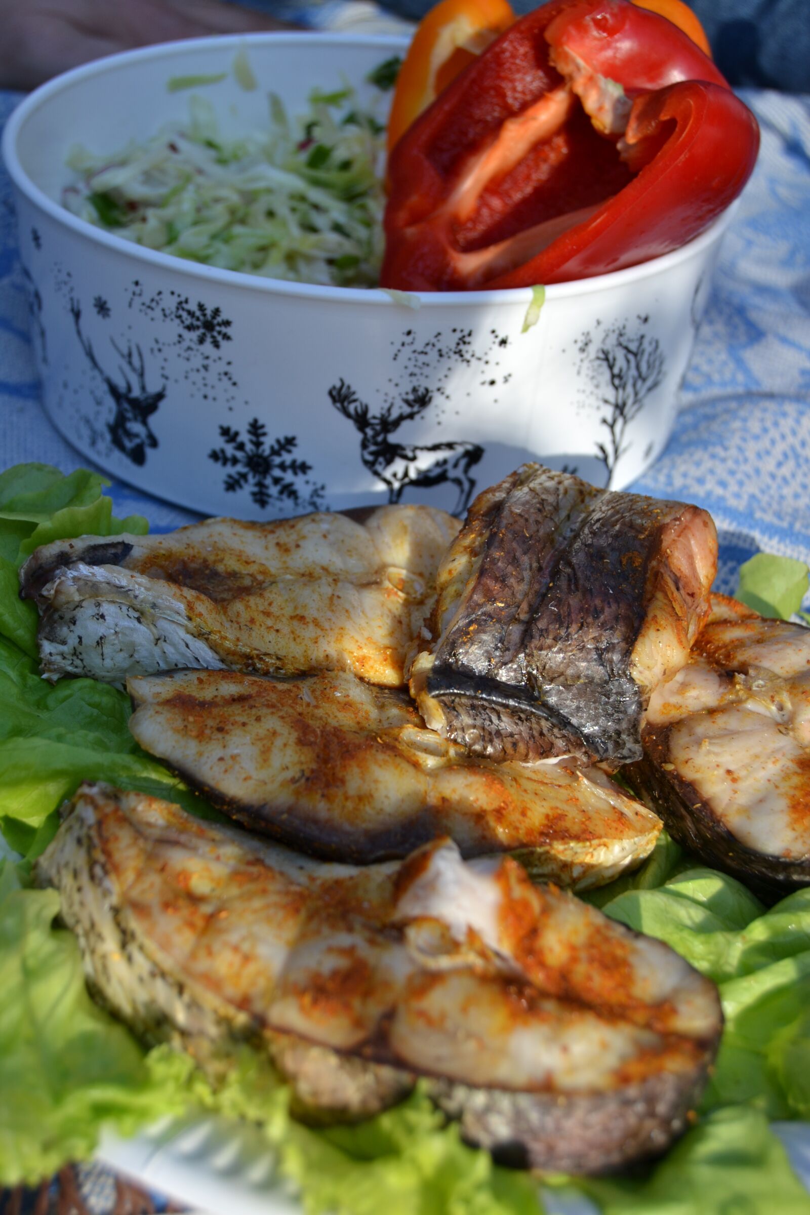 Nikon D3100 sample photo. Food, fish, picnic photography