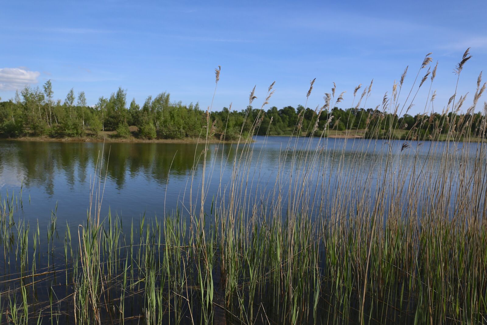 Canon EF 24-70mm F4L IS USM sample photo. Lake, water, nature photography
