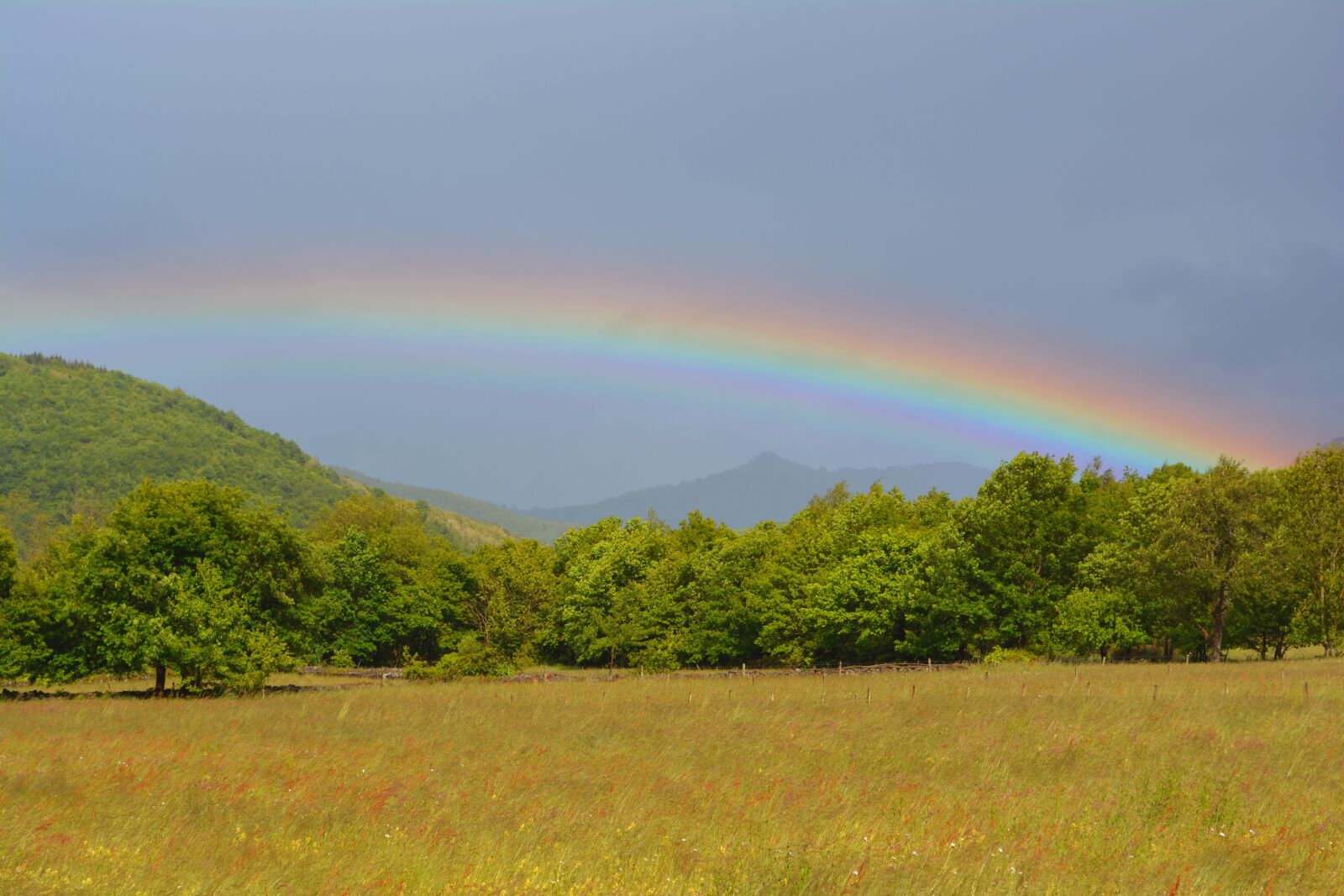 Nikon D5200 sample photo. Rainbow, multicolor, rain photography