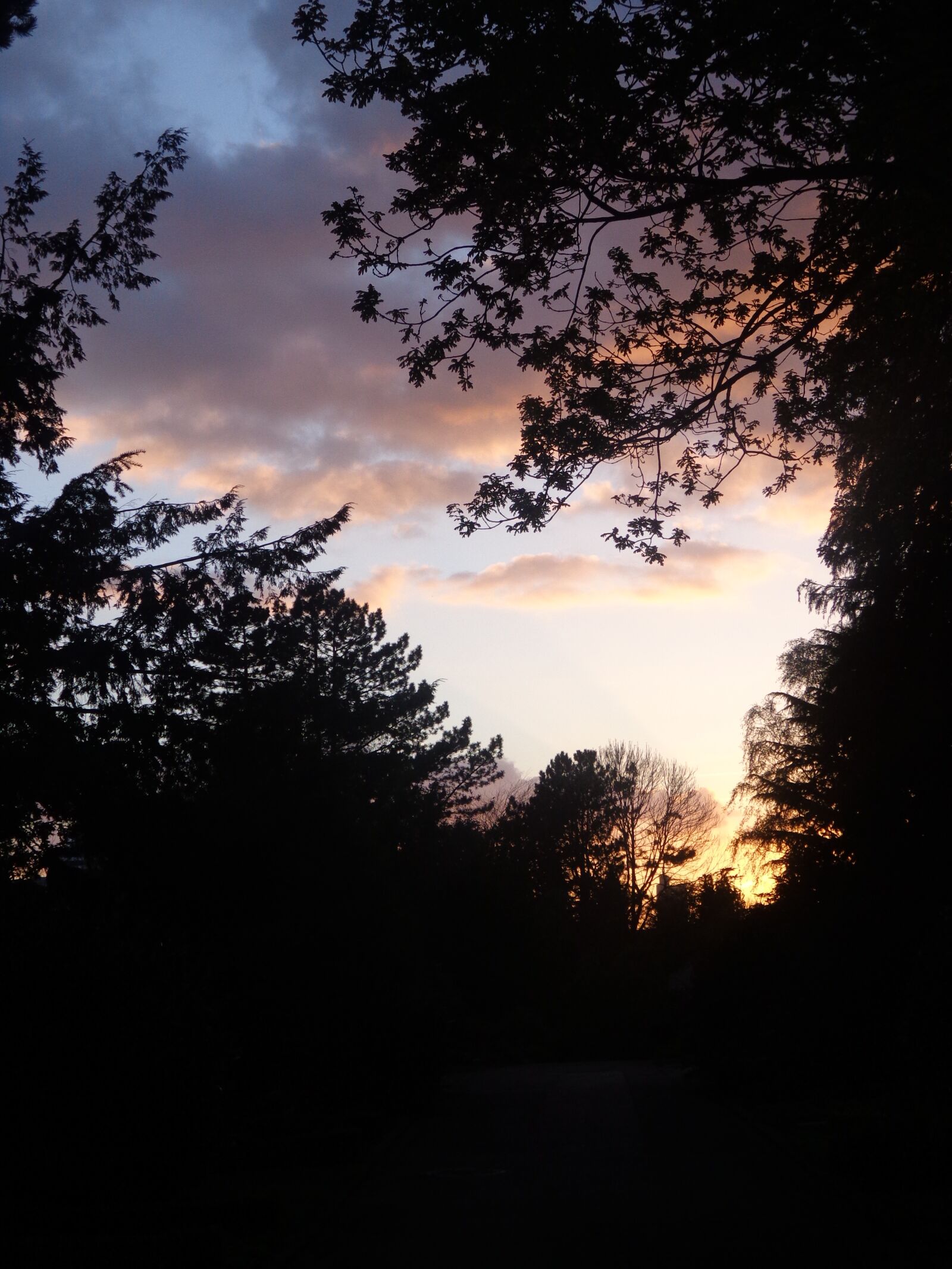 Sony DSC-W630 sample photo. Nature, sky, sunset photography