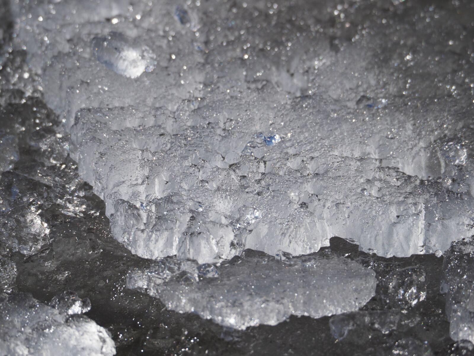 Olympus OM-D E-M1 Mark II sample photo. Ice, cold, frost photography