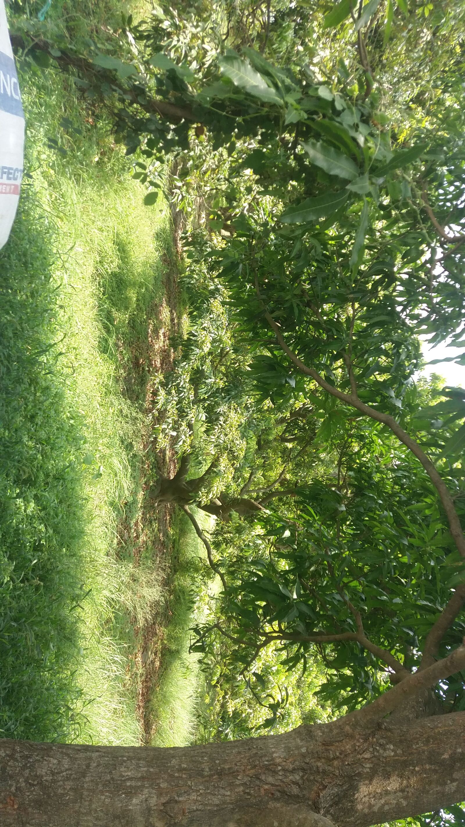 Samsung Galaxy J5 sample photo