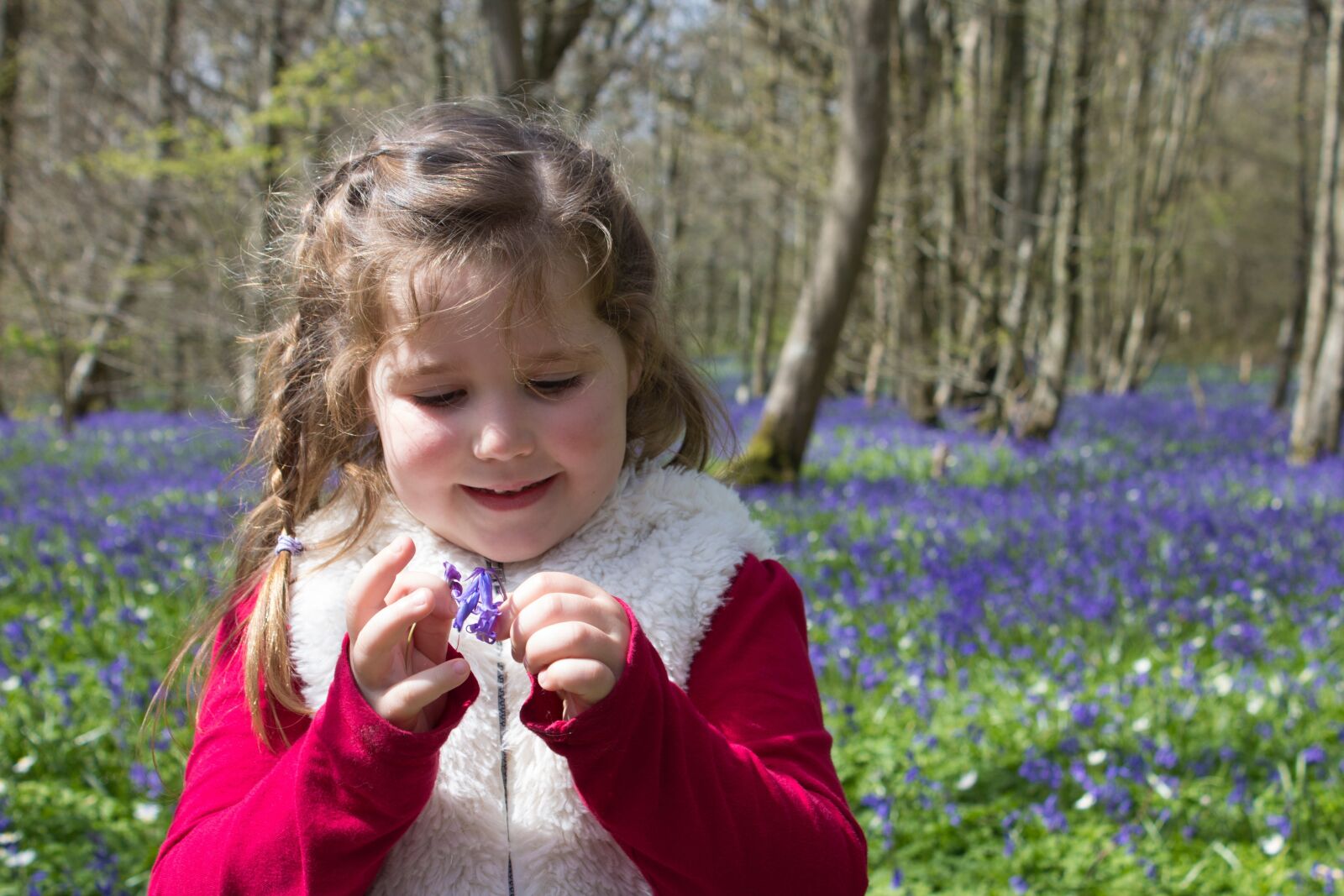 Canon EOS 600D (Rebel EOS T3i / EOS Kiss X5) sample photo. Bluebells, woods, english photography