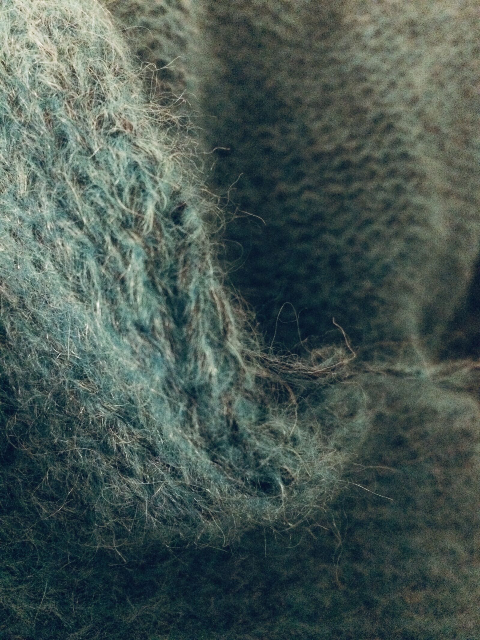iPhone 5s back camera 4.15mm f/2.2 sample photo. Alpaca, thread, knitting pattern photography