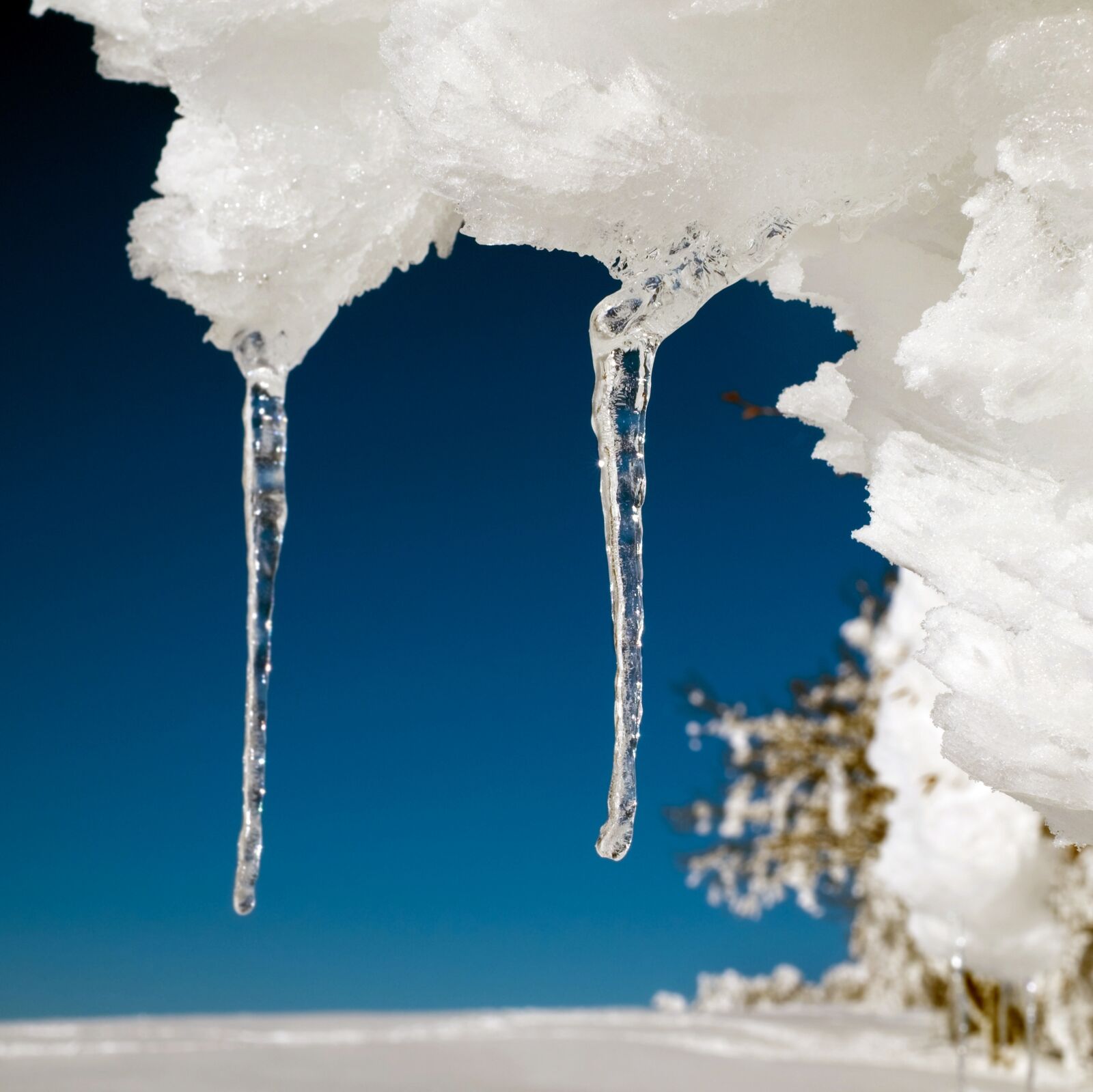 Fujifilm X-T10 + Fujifilm XF 35mm F1.4 R sample photo. Icicle, ice, drip photography
