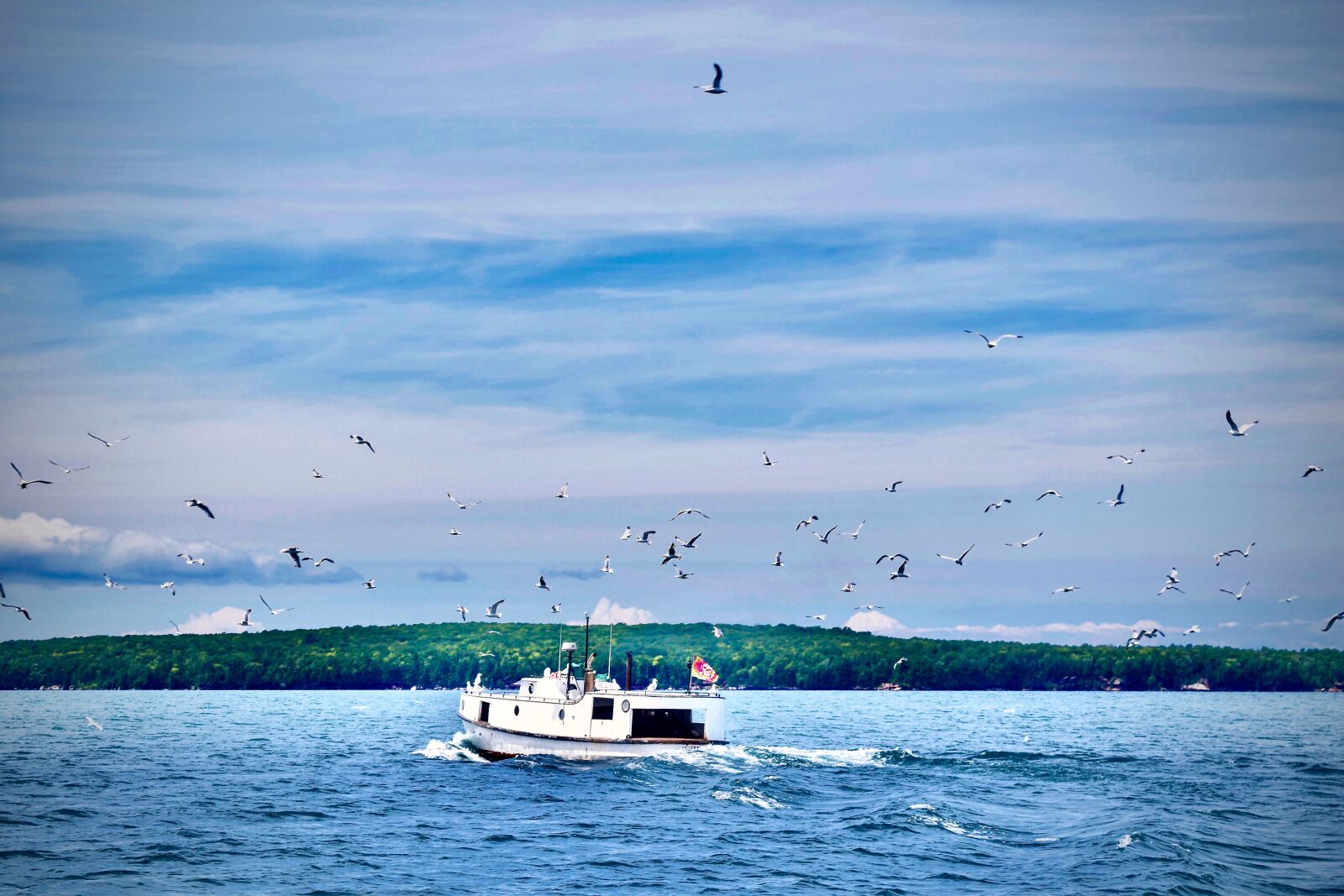 Nikon D5300 sample photo. Fish, boat, fisherman photography